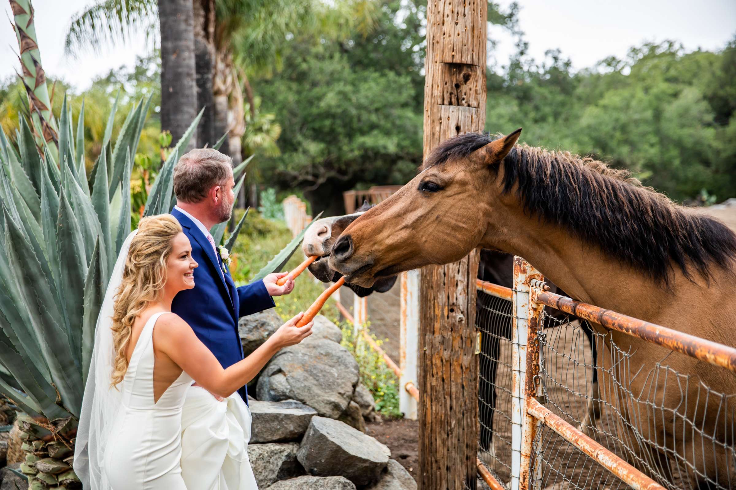Condors Nest Ranch Wedding, Natascha and Brent Wedding Photo #46 by True Photography