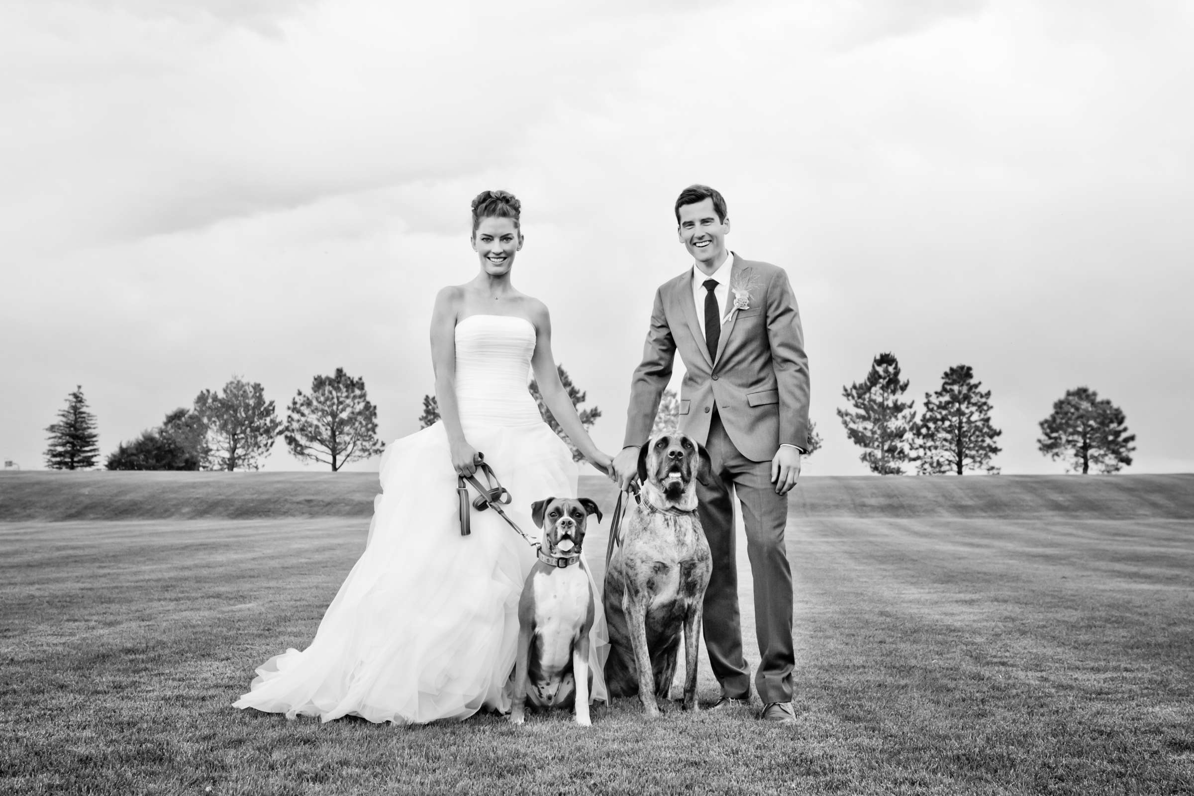 Pets, At the Park at Denver Botanic Gardens at Chatfield Wedding coordinated by Revel and Bloom, Sandra and Craig Wedding Photo #34 by True Photography
