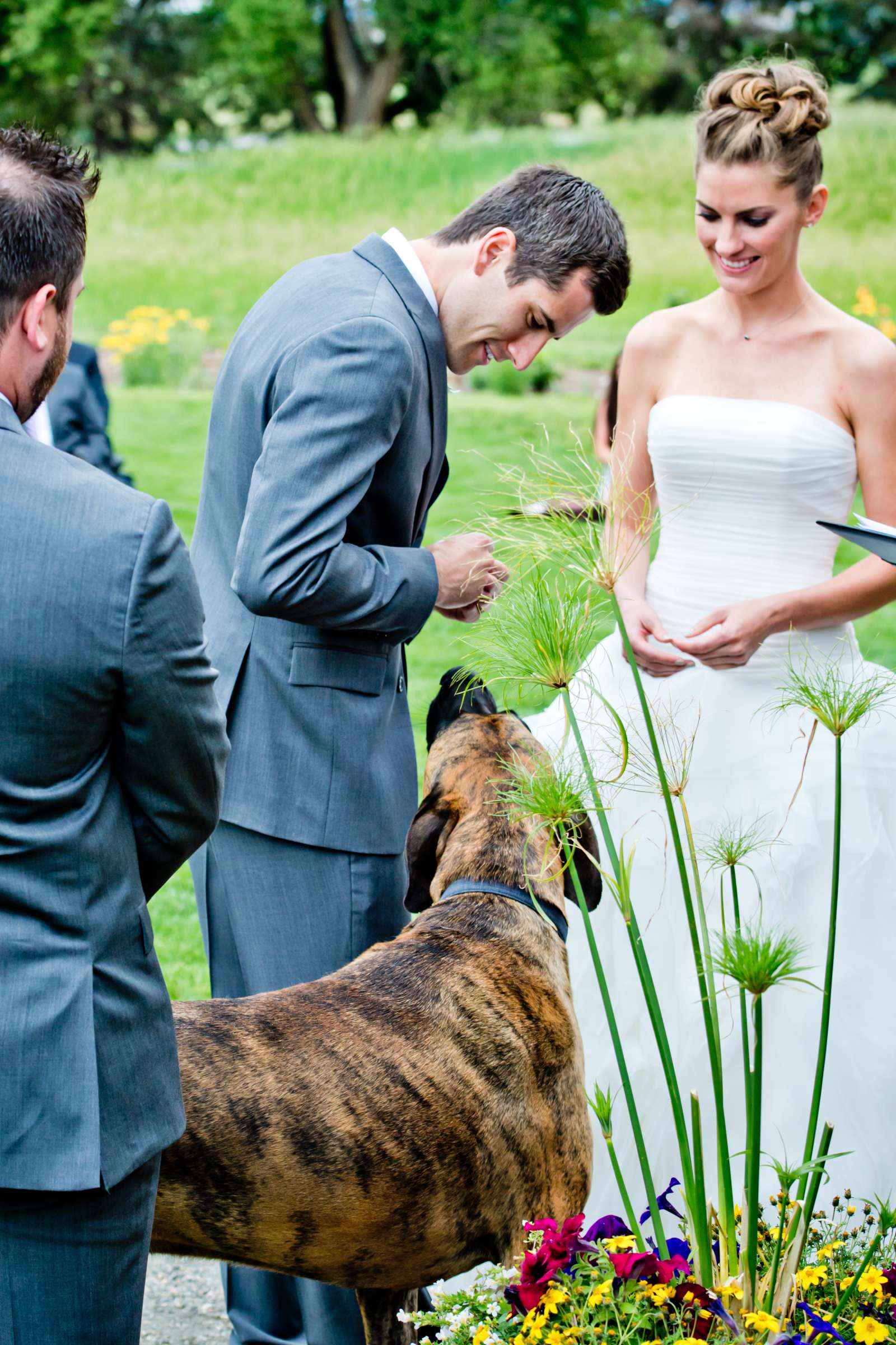 Pets at Denver Botanic Gardens at Chatfield Wedding coordinated by Revel and Bloom, Sandra and Craig Wedding Photo #51 by True Photography