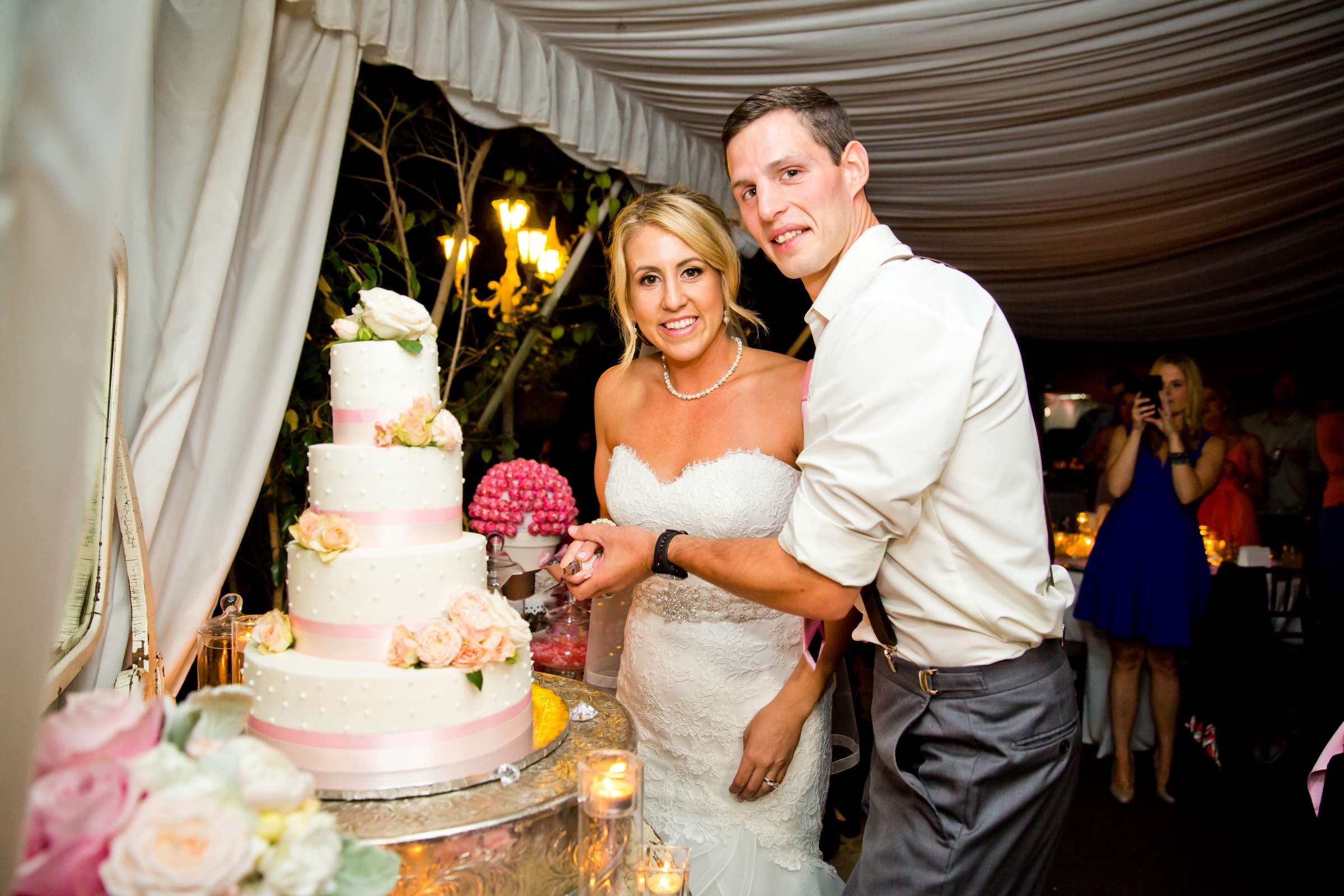 Twin Oaks House & Gardens Wedding Estate Wedding, Clare and Brandon Wedding Photo #148051 by True Photography