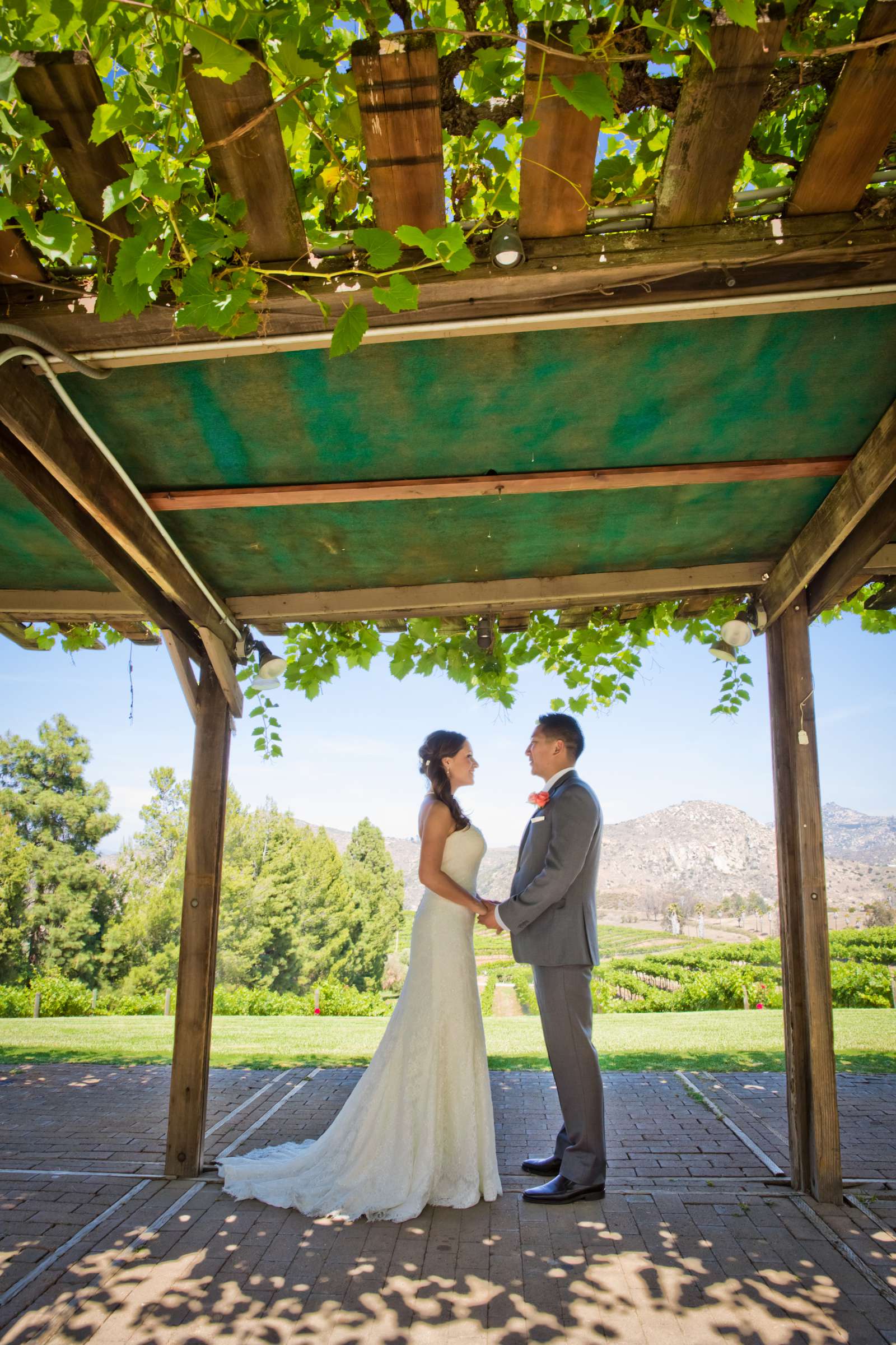 Orfila Vineyards Wedding coordinated by Art of the Party, Natalie and Josh Wedding Photo #66 by True Photography