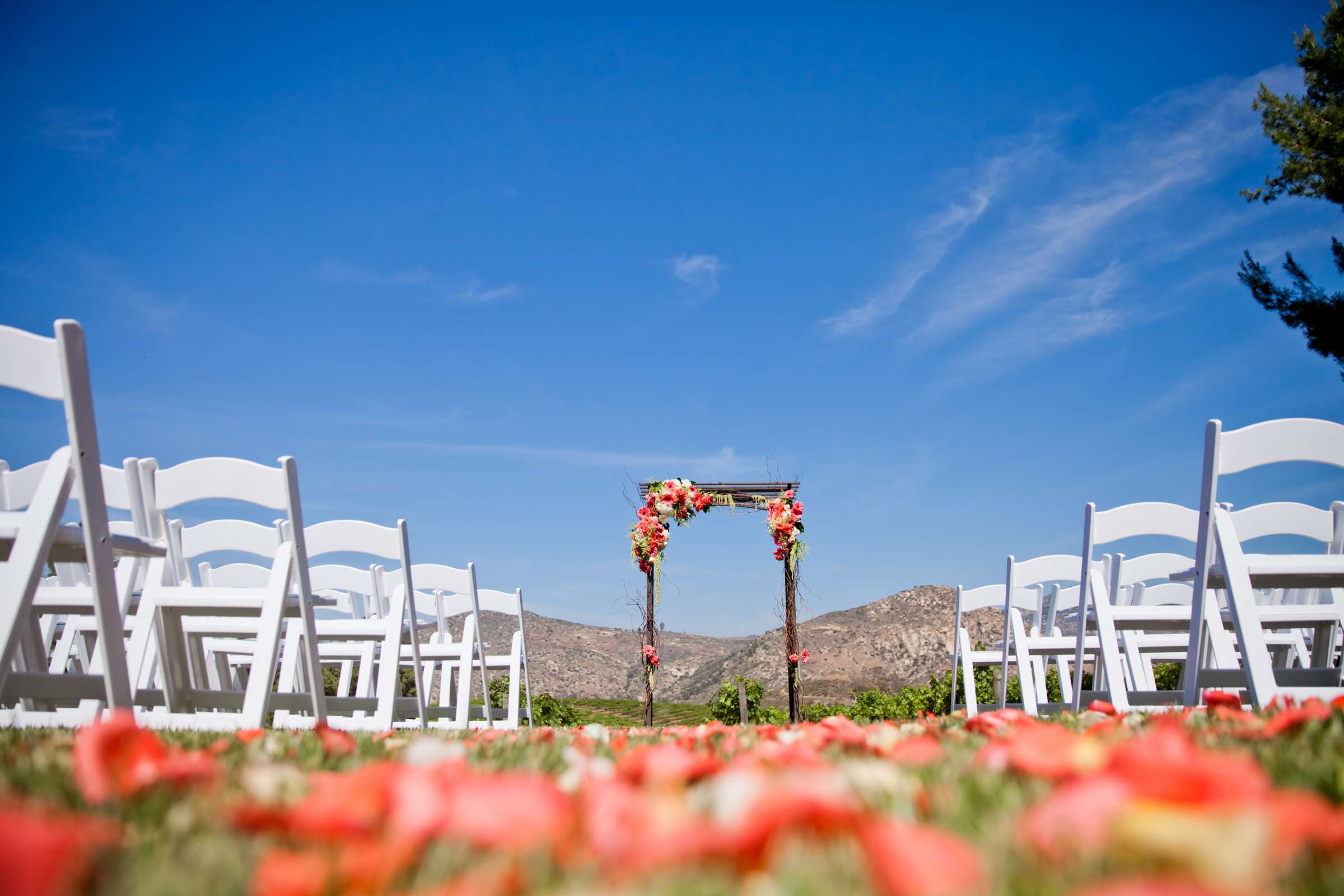 Orfila Vineyards Wedding coordinated by Art of the Party, Natalie and Josh Wedding Photo #116 by True Photography