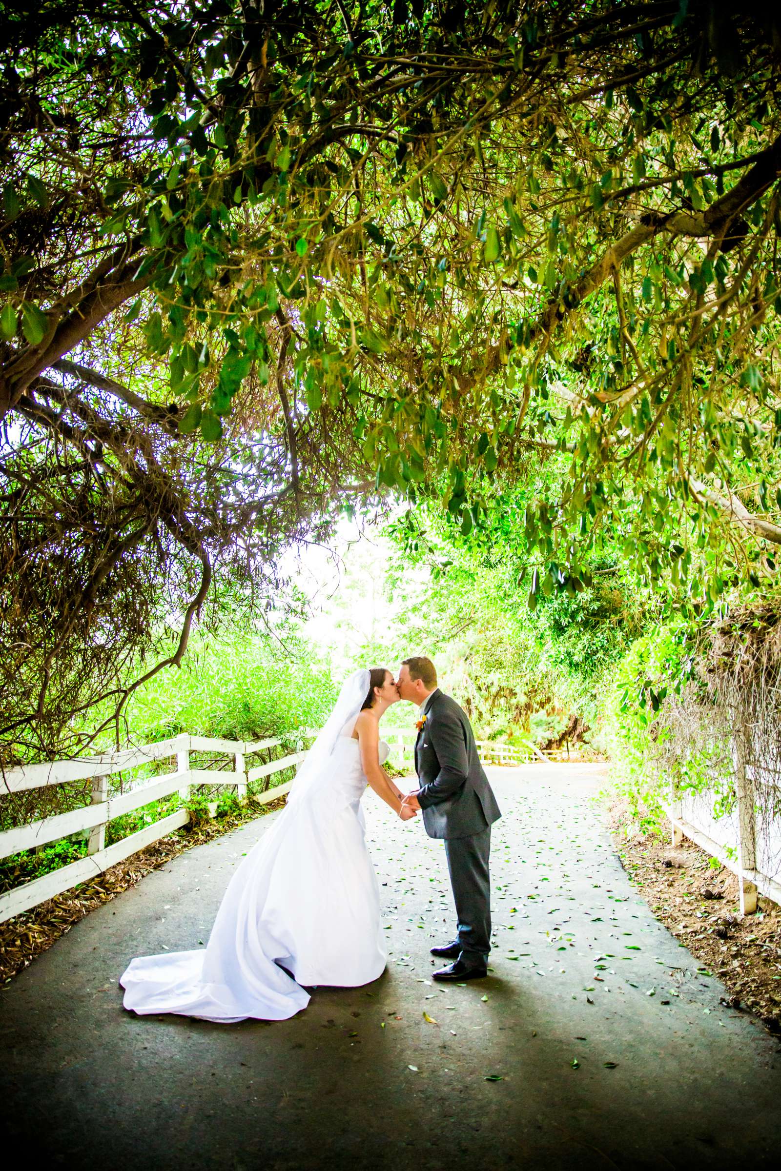 Green Gables Wedding Estate Wedding, Jeannette and Mack Wedding Photo #19 by True Photography