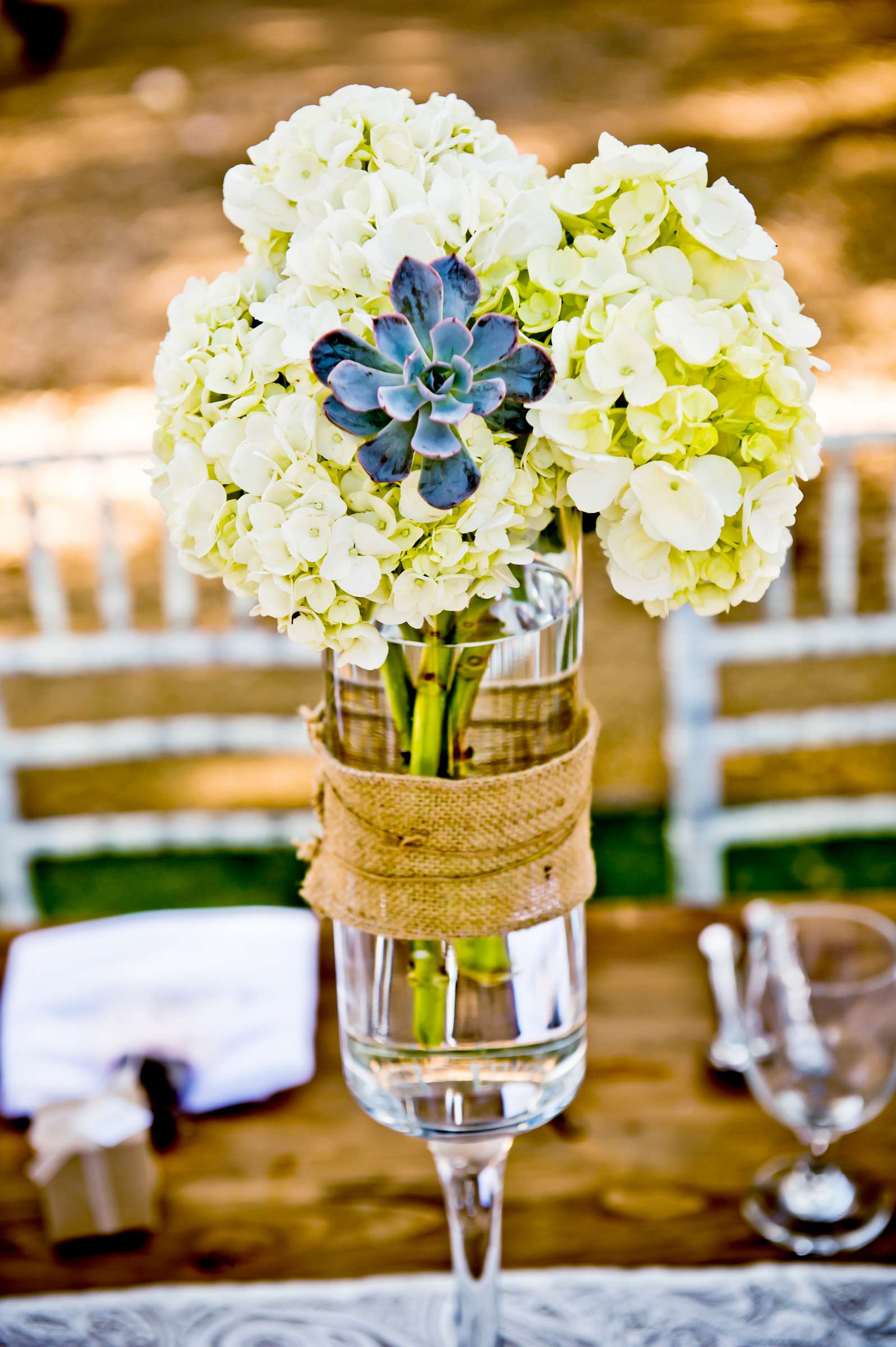 Serenity Oaks Ranch Wedding coordinated by I Do Weddings, Rachel and Mike Wedding Photo #71 by True Photography