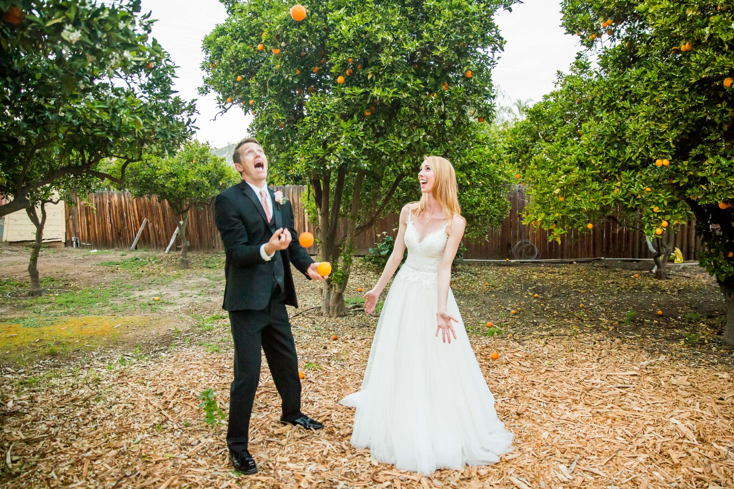 Orchard at Twin Oaks House & Gardens Wedding Estate Wedding, Madeline and Mike Wedding Photo #9 by True Photography