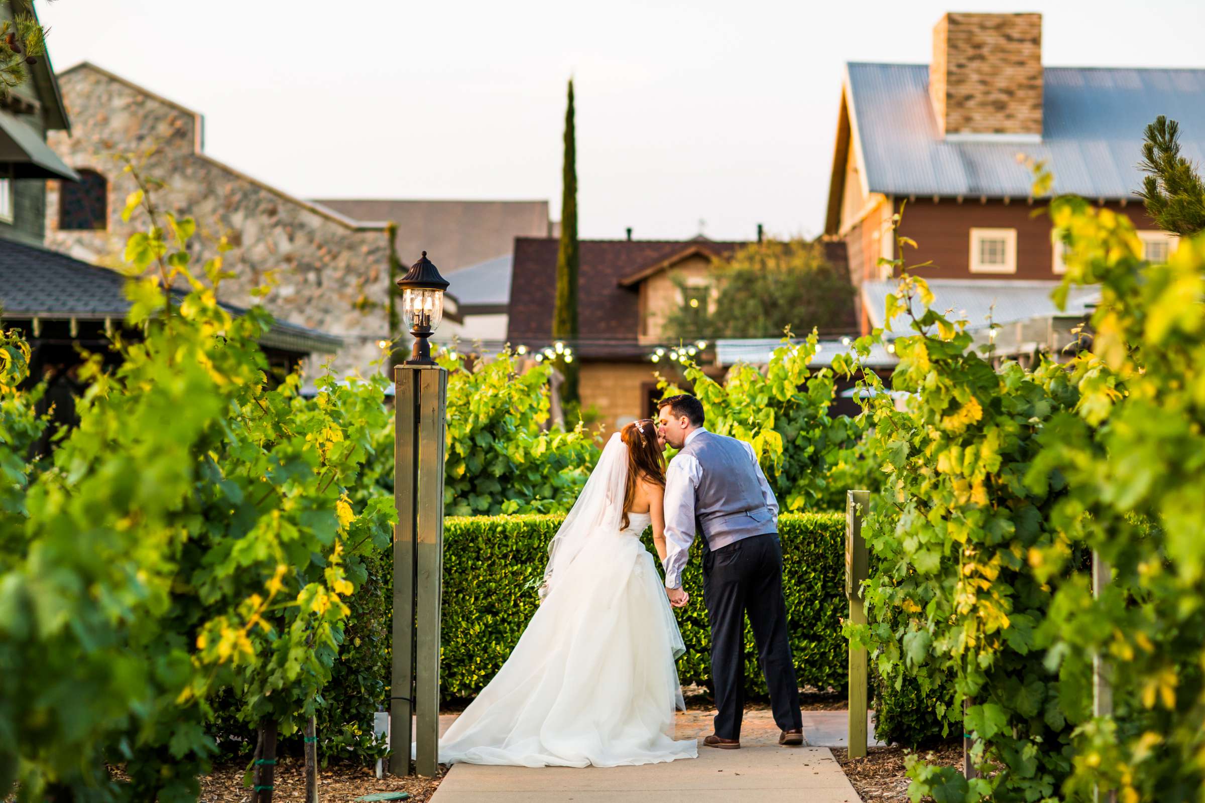 Ponte Estate Winery Wedding coordinated by Seven Stems Floral Design & Events, Jennifer and Justin Wedding Photo #5 by True Photography