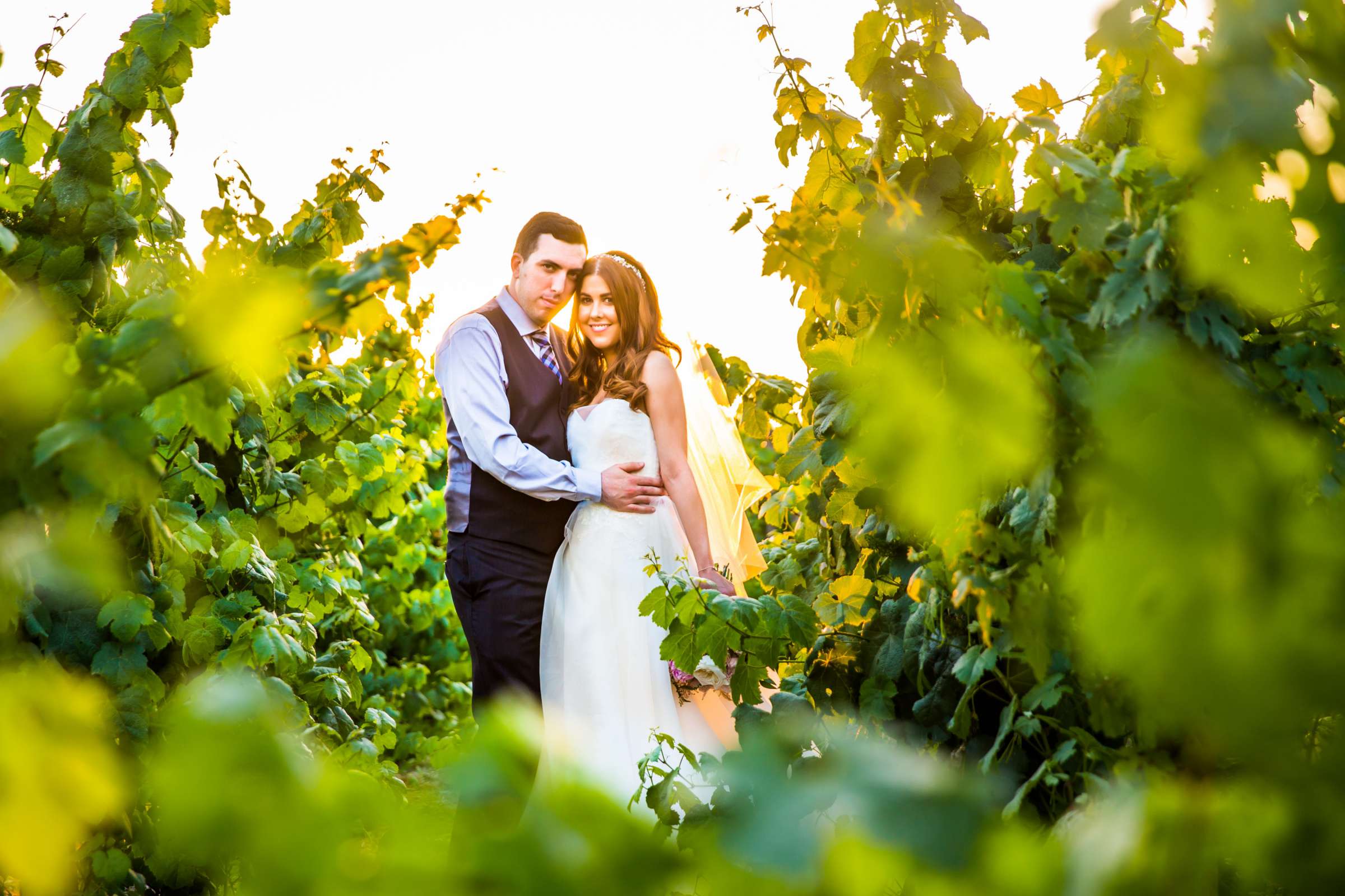 Ponte Estate Winery Wedding coordinated by Seven Stems Floral Design & Events, Jennifer and Justin Wedding Photo #9 by True Photography