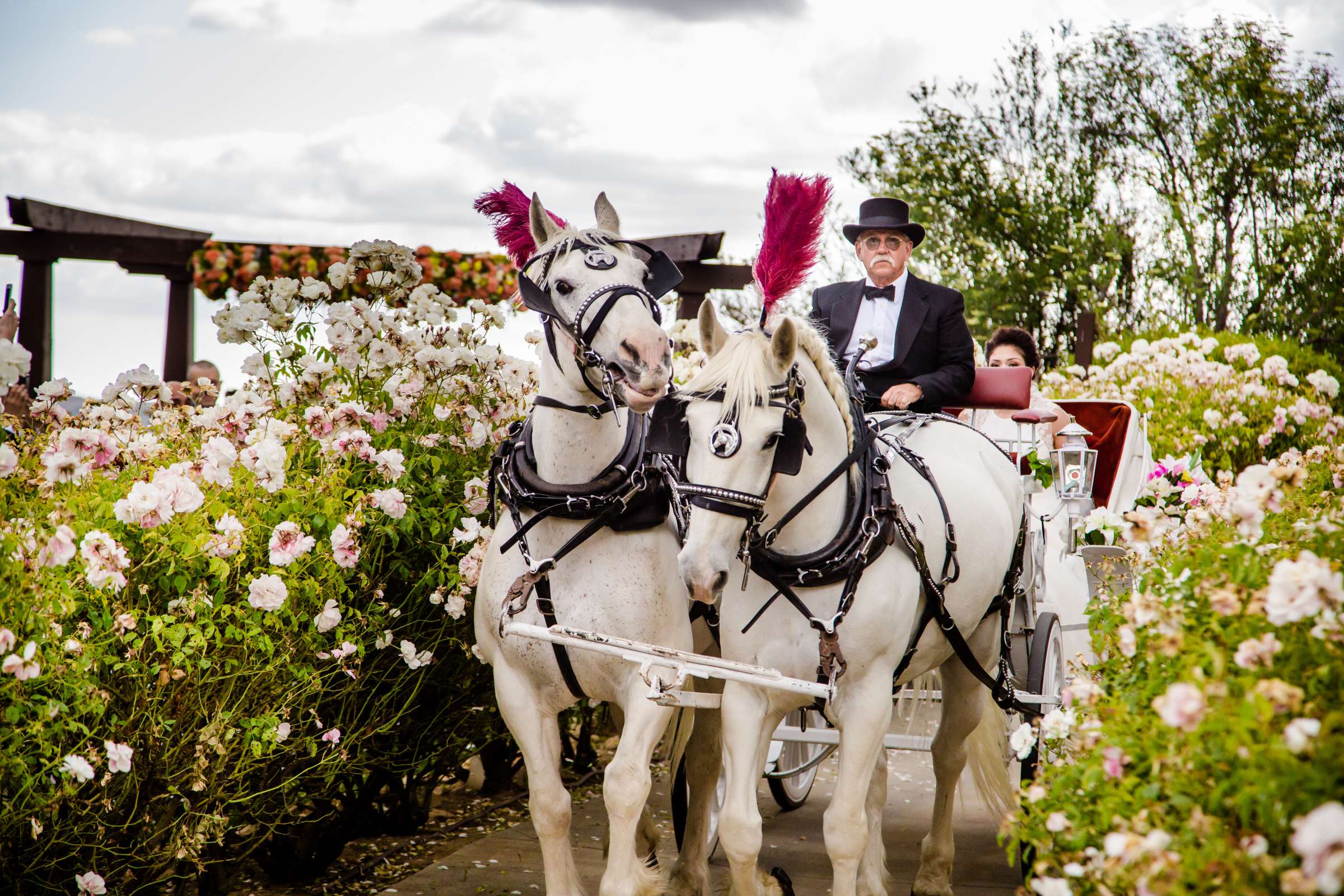 Serendipity Garden Weddings Wedding, Ruth and Freddie Wedding Photo #28 by True Photography