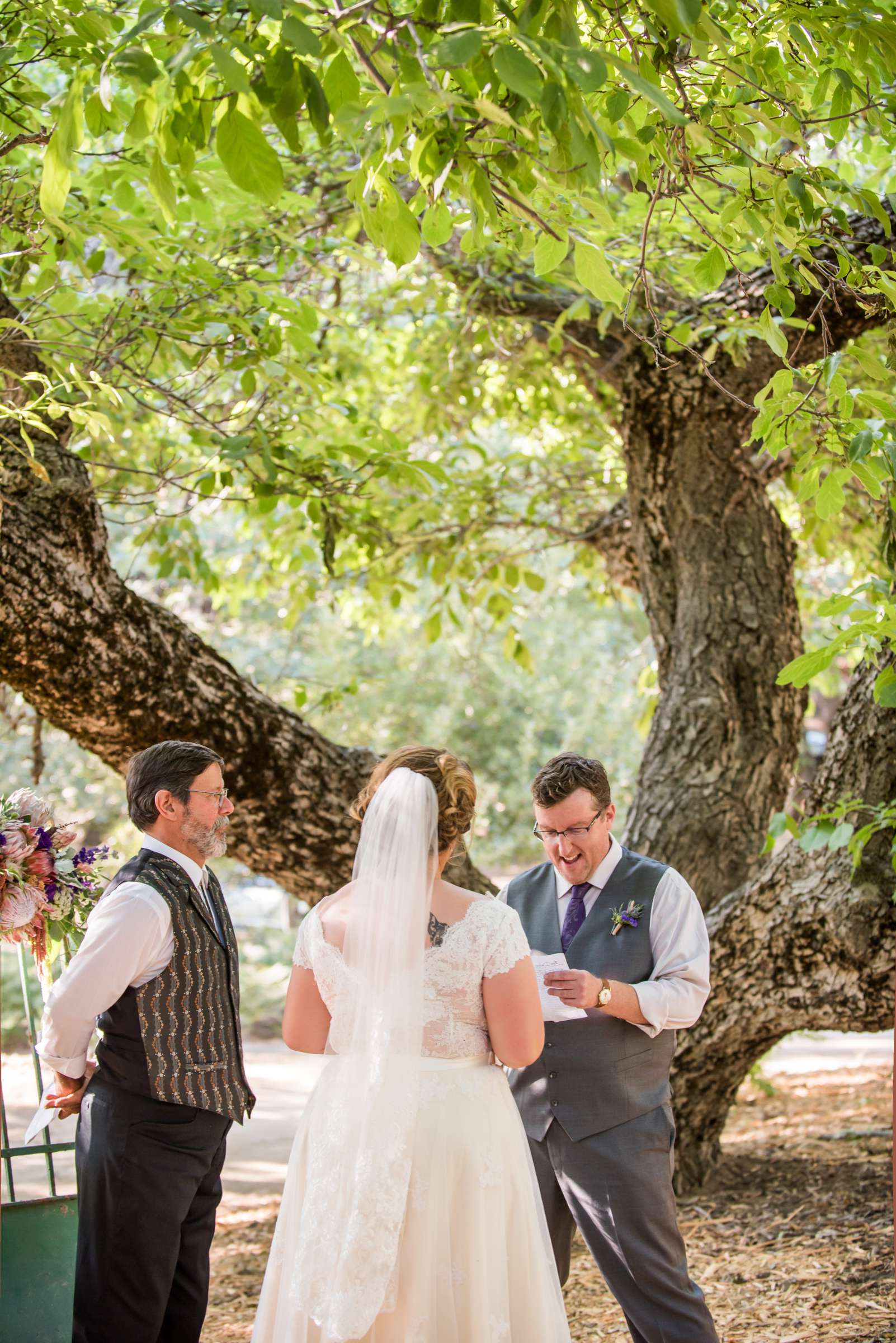 Bailey's Palomar Resort Wedding, Dalen and Dave Wedding Photo #245525 by True Photography