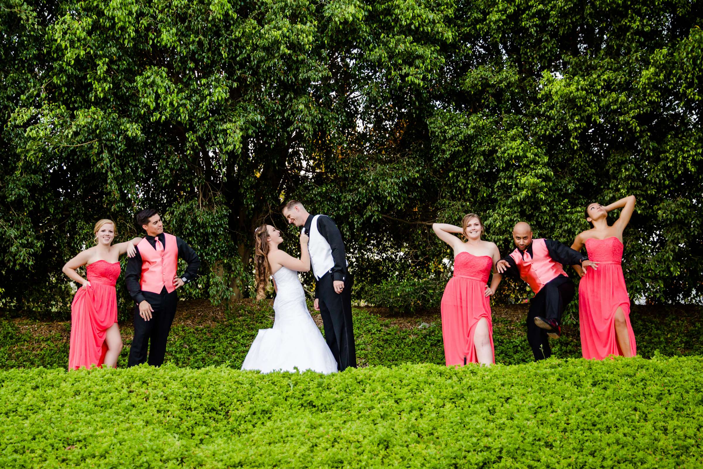 Grand Tradition Estate Wedding, Nicole and Matthew Wedding Photo #246022 by True Photography