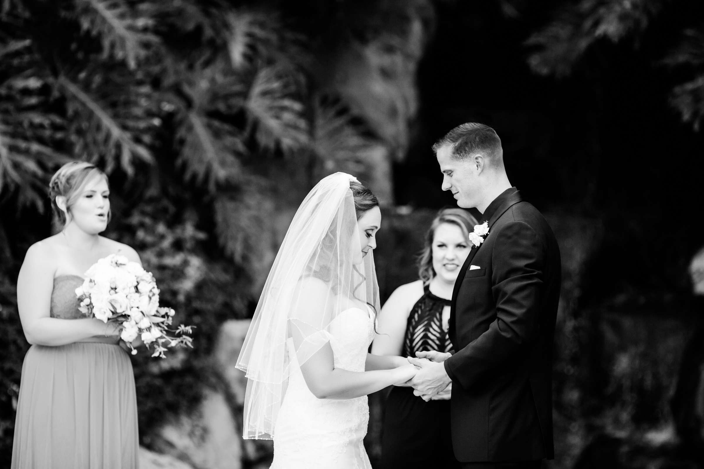 Grand Tradition Estate Wedding, Nicole and Matthew Wedding Photo #246033 by True Photography