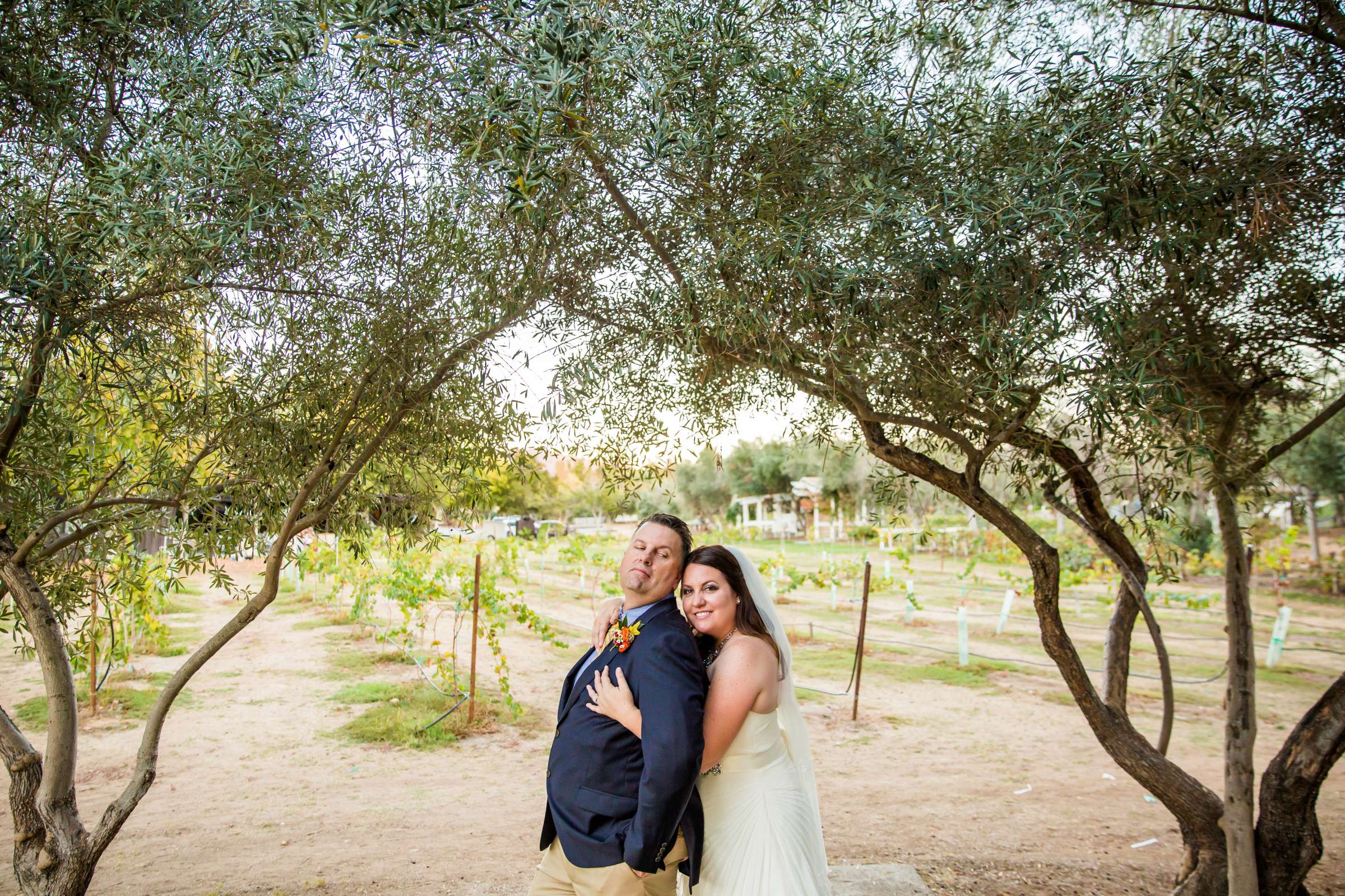 Bernardo Winery Wedding, Jennifer and Paul Wedding Photo #282474 by True Photography