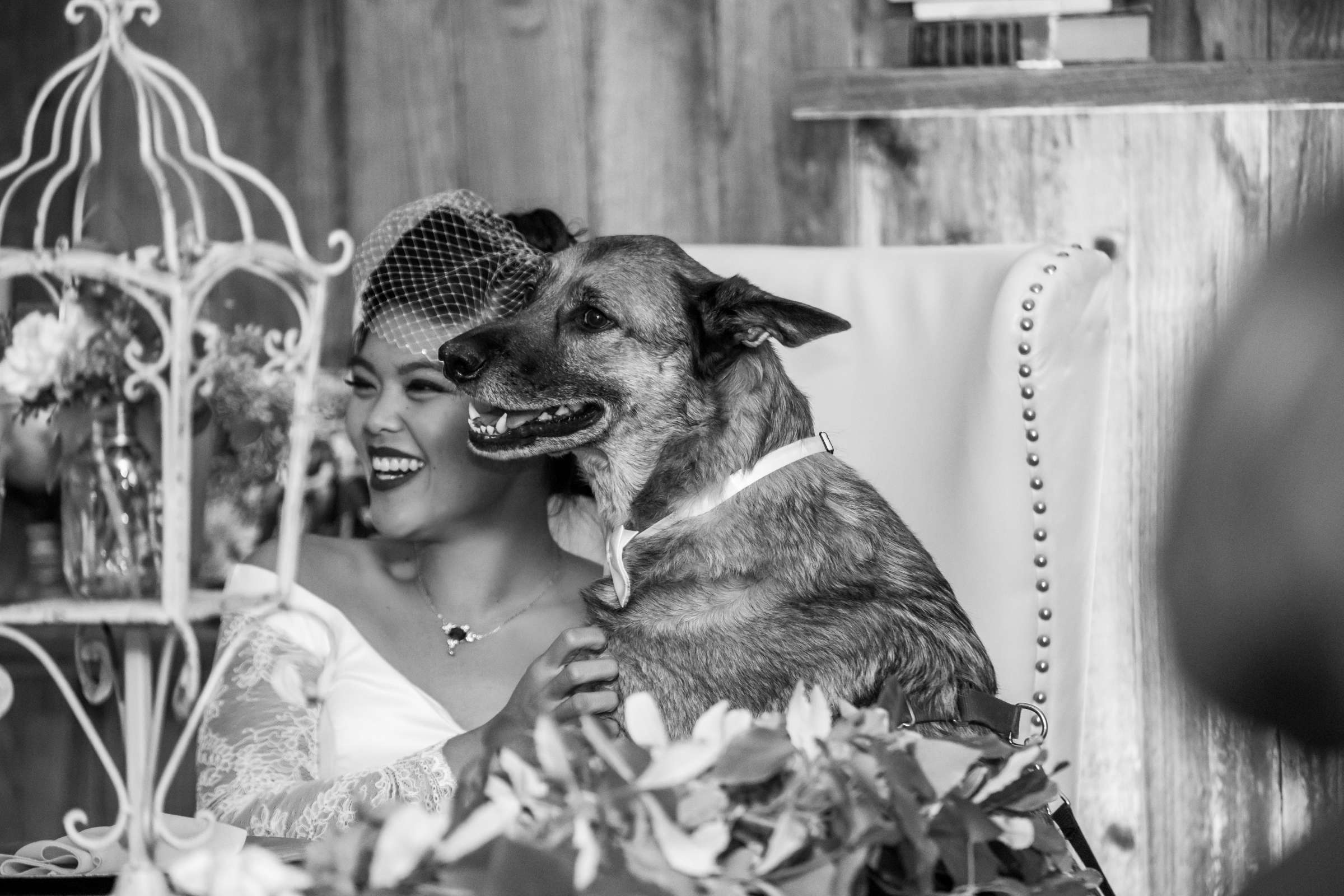 Pets at Twin Oaks House & Gardens Wedding Estate Wedding coordinated by Twin Oaks House & Gardens Wedding Estate, Andrea and Andy Wedding Photo #112 by True Photography