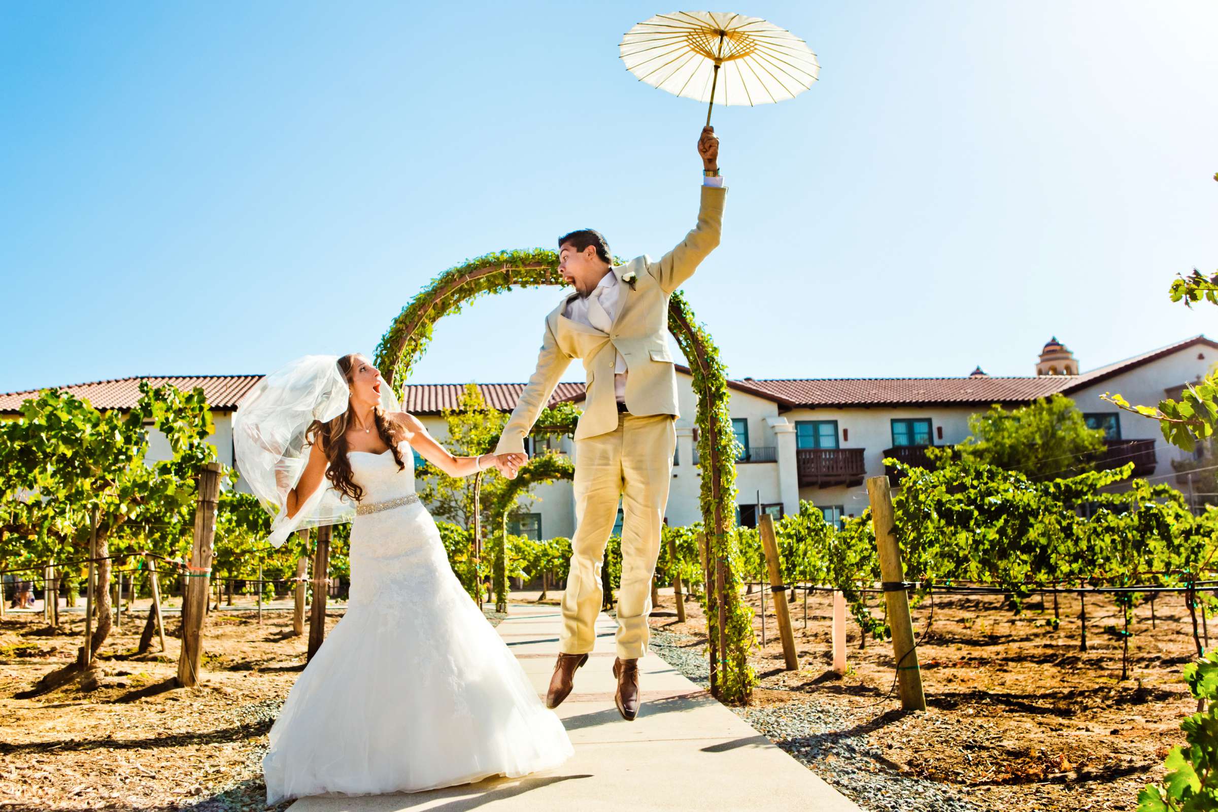 Ponte Estate Winery Wedding, Meagan and Adrian Wedding Photo #335080 by True Photography