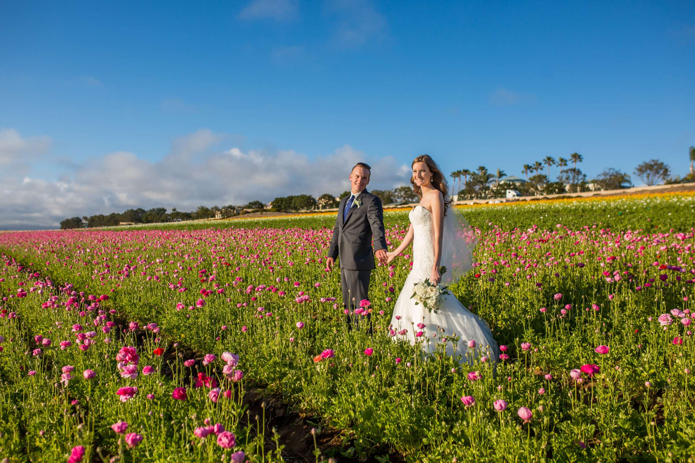 The Flower Fields at Carlsbad Ranch Wedding coordinated by Events by Jackie Fuhrman, Jenna and Kyle Wedding Photo #14 by True Photography