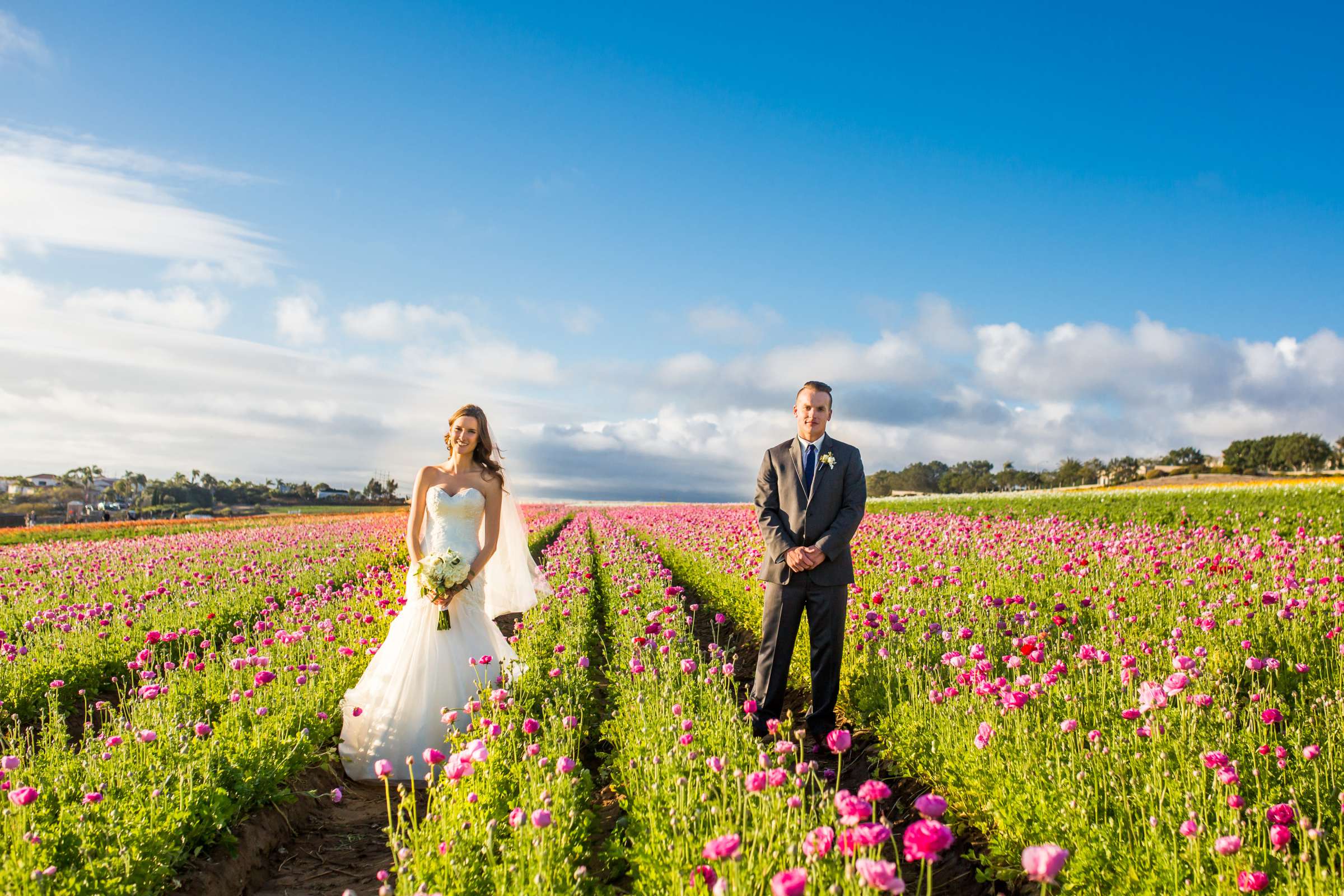 The Flower Fields at Carlsbad Ranch Wedding coordinated by Events by Jackie Fuhrman, Jenna and Kyle Wedding Photo #62 by True Photography
