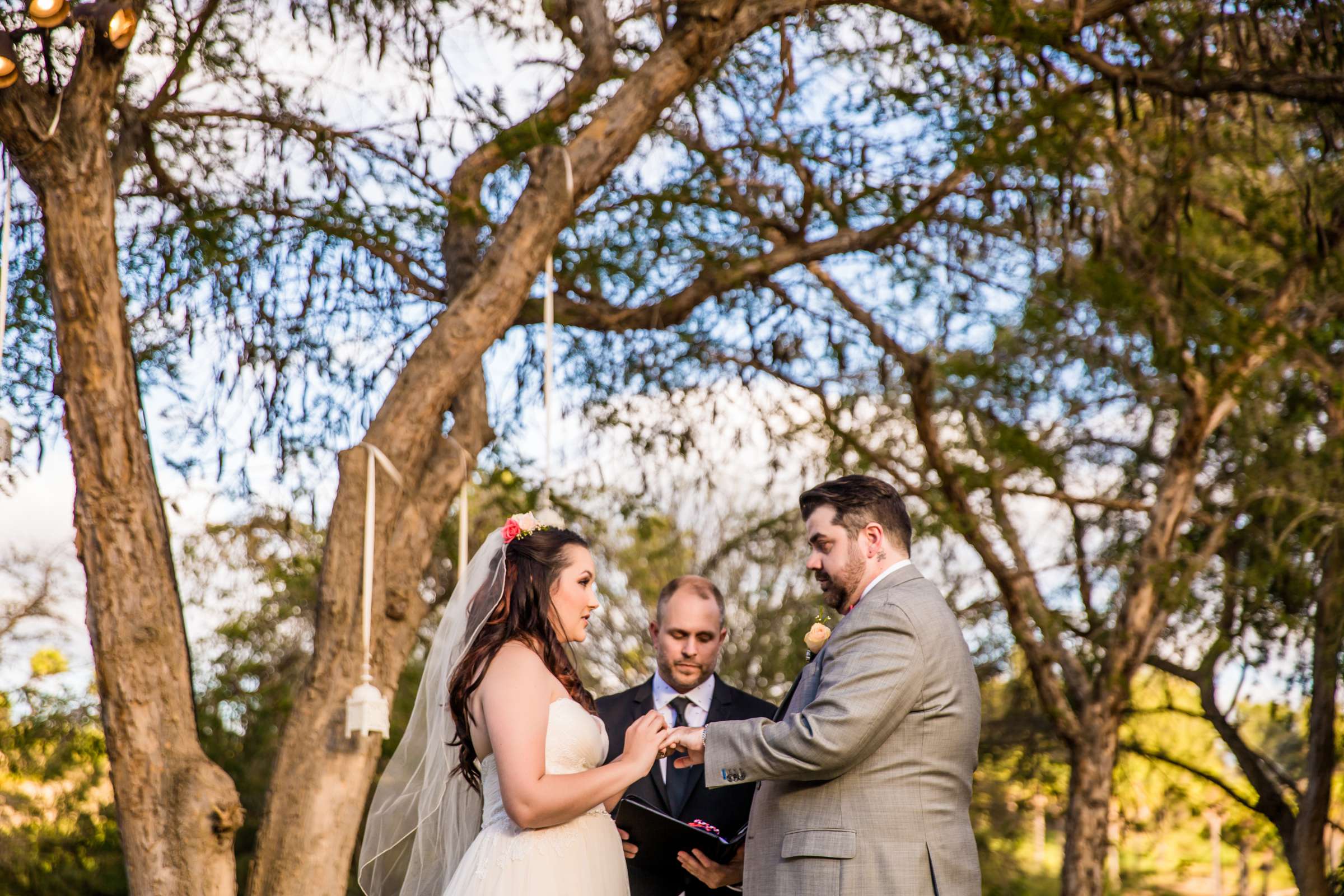 Safari Park Wedding, Jessica and Nick Wedding Photo #73 by True Photography
