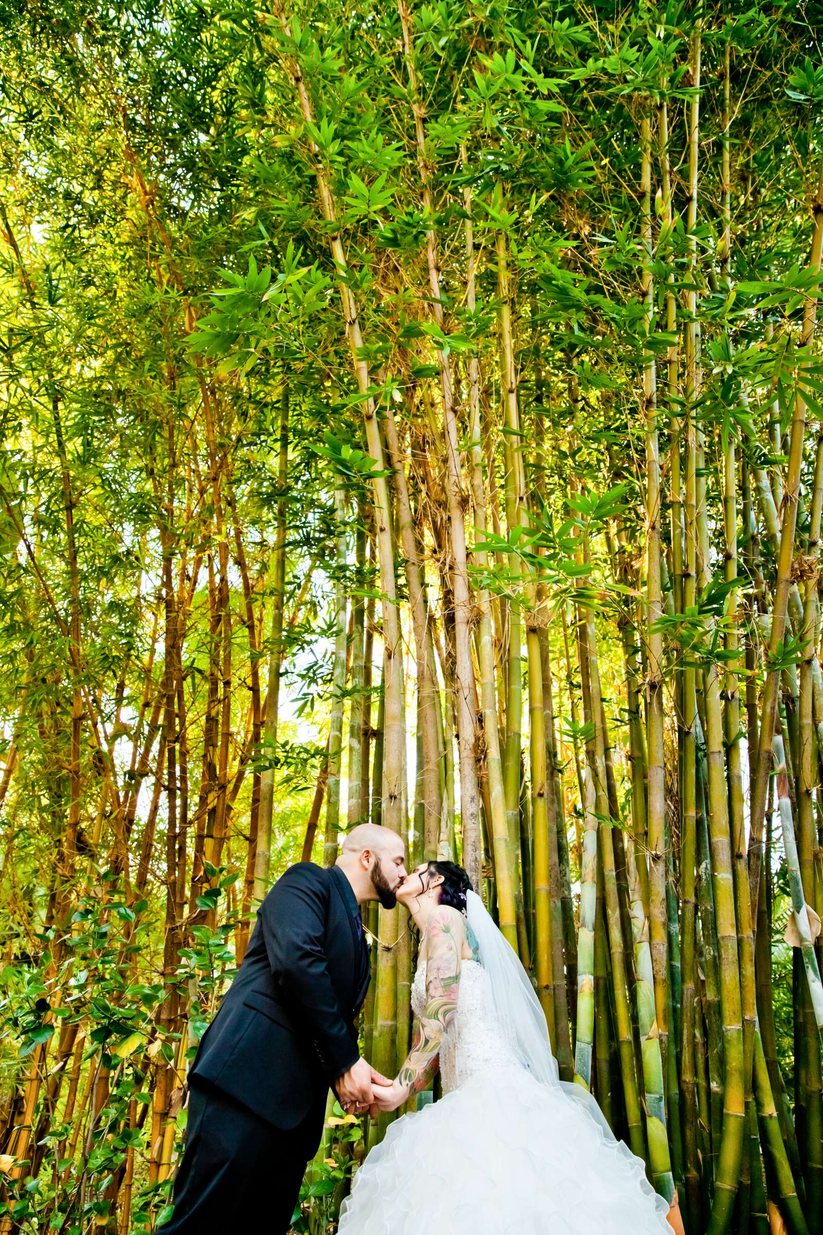 Grand Tradition Estate Wedding, Hope and Kris Wedding Photo #346582 by True Photography