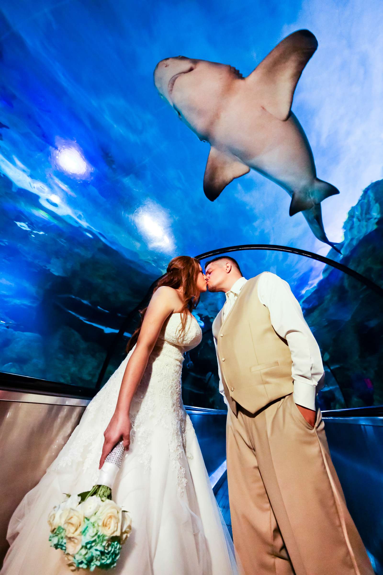 Sea World San Diego Wedding coordinated by Coastyle Events, Adriana and Michael Wedding Photo #346682 by True Photography