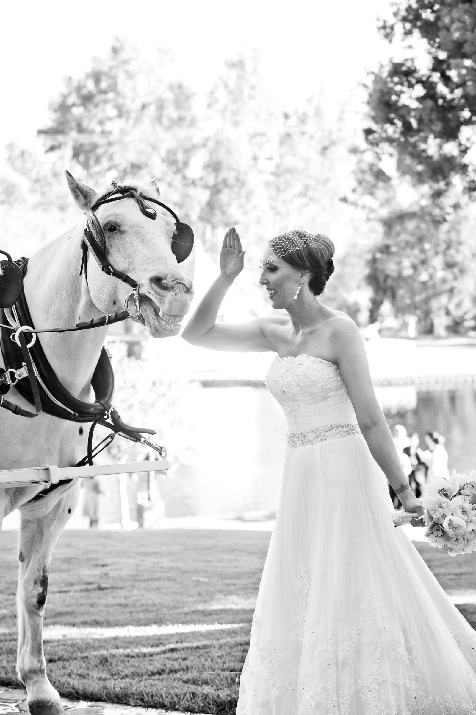 Grand Tradition Estate Wedding, Amanda and Zeke Wedding Photo #348175 by True Photography