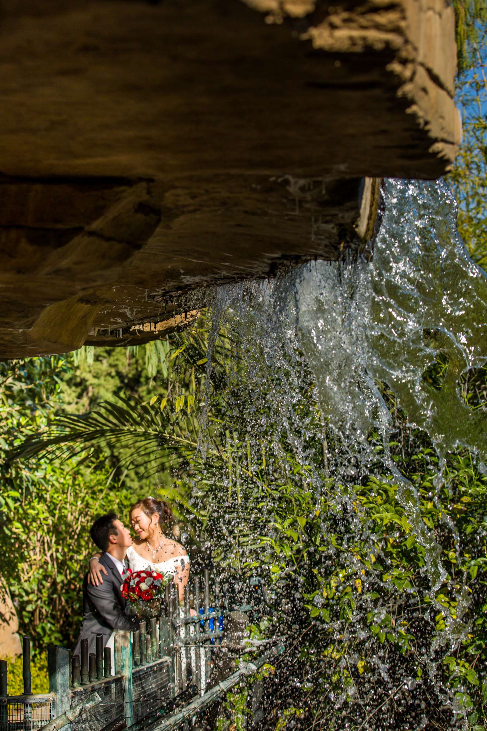 Safari Park Wedding, Jocelyn and Heras Wedding Photo #75 by True Photography