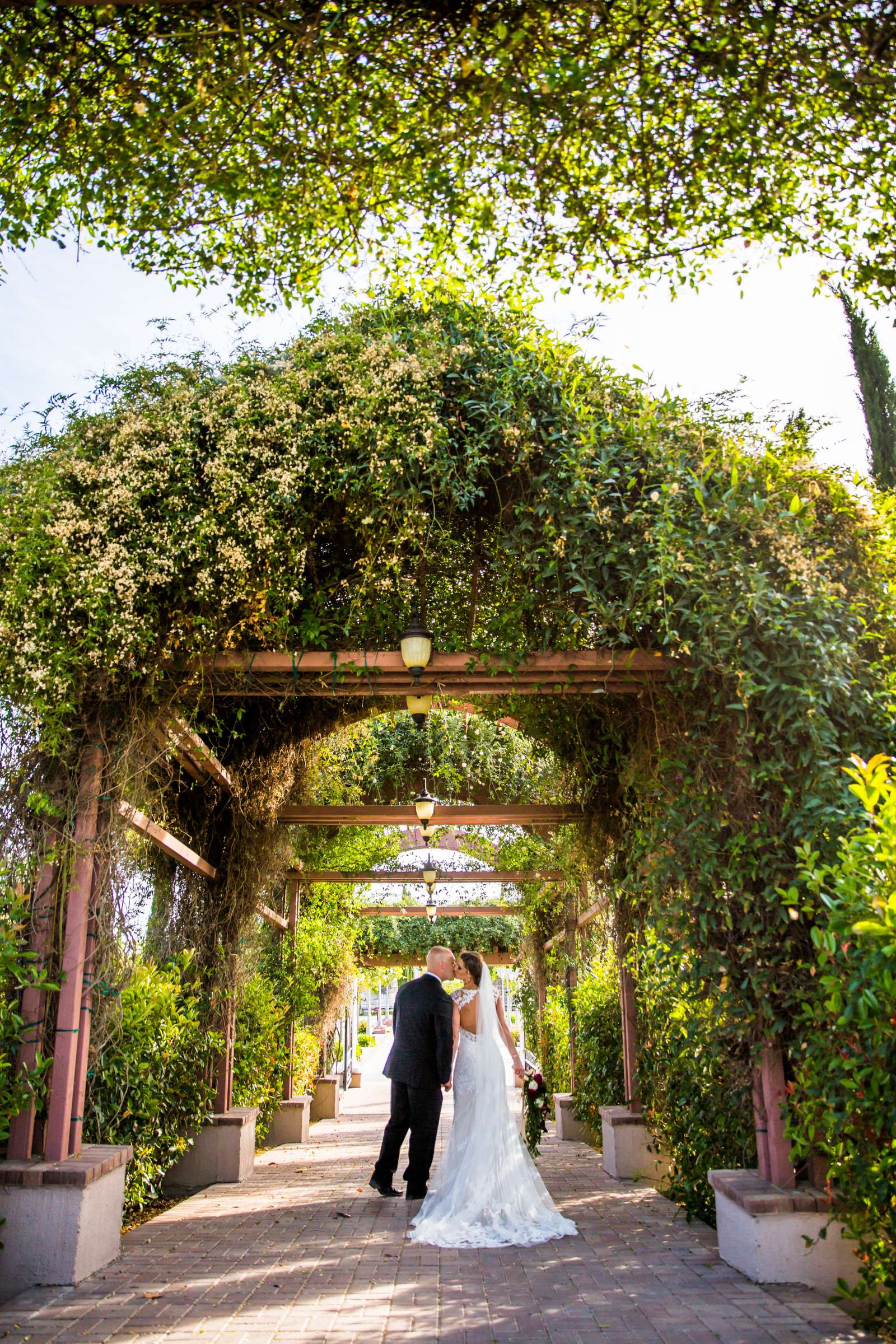 Mount Palomar Winery Wedding, Sarah and Dallas Wedding Photo #8 by True Photography