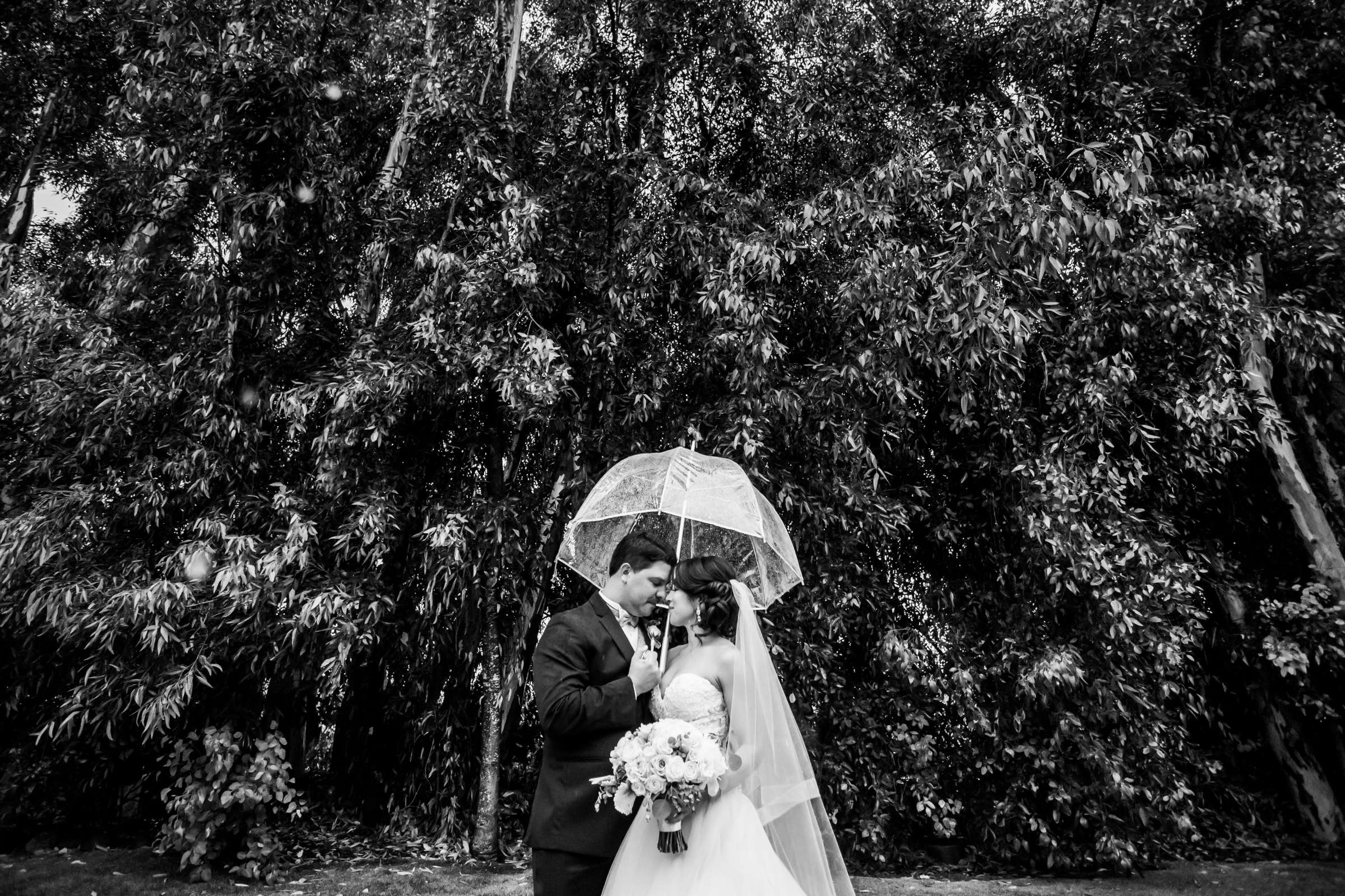 Twin Oaks House & Gardens Wedding Estate Wedding, Christal and Baltasar Wedding Photo #15 by True Photography