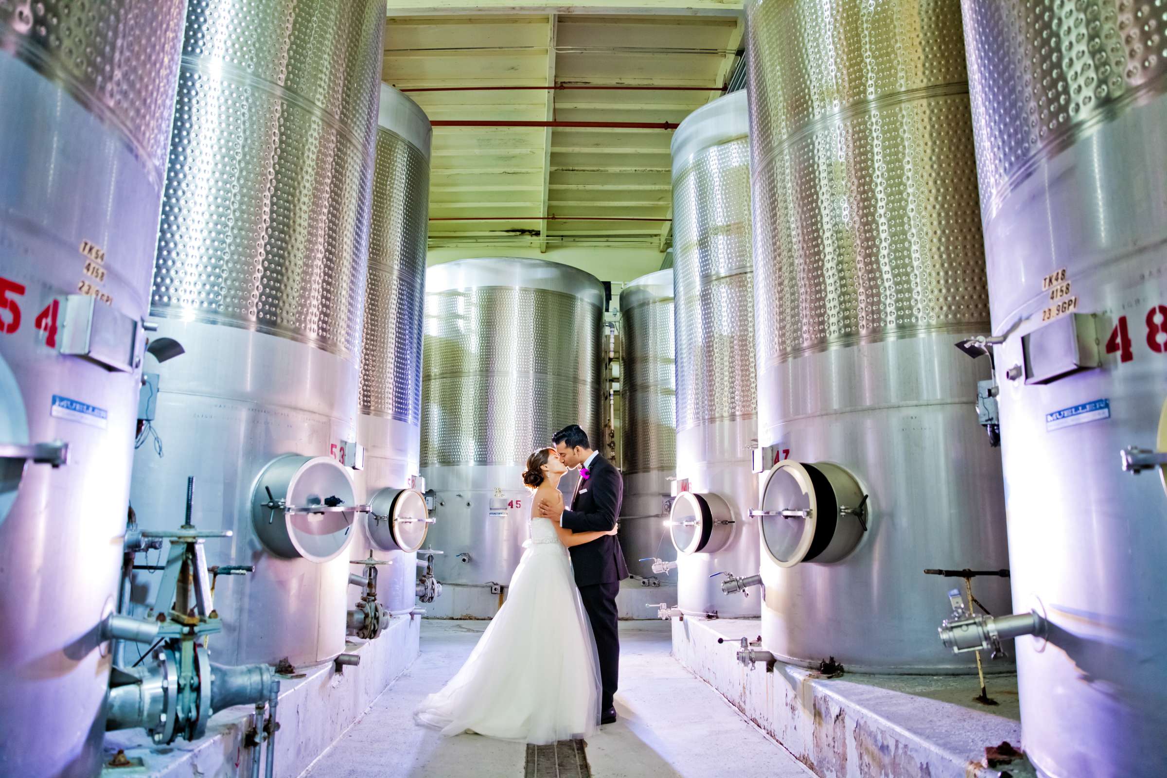 Callaway Vineyards & Winery Wedding coordinated by Michelle Garibay Events, Naomi and Partho Wedding Photo #367763 by True Photography