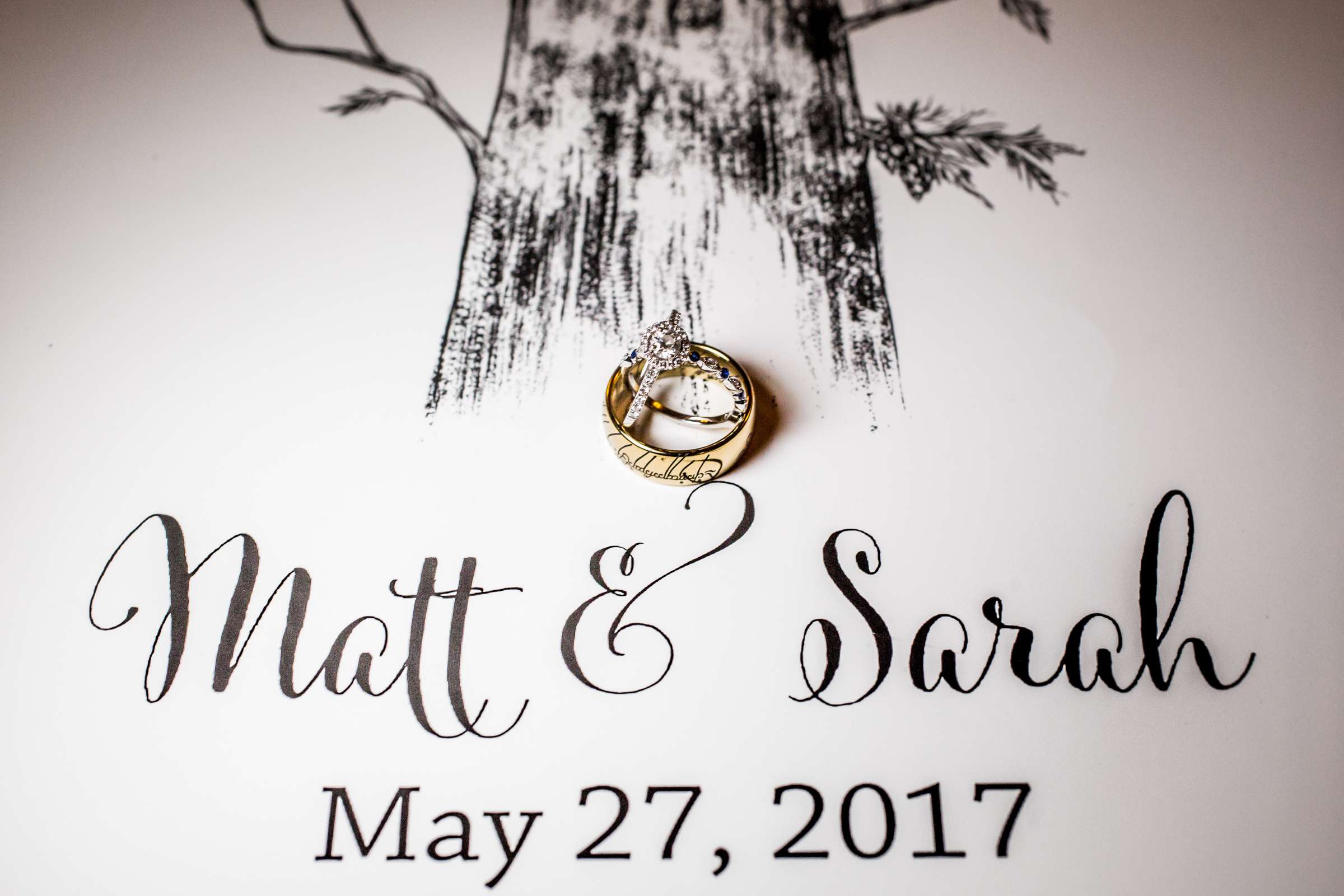 Mt Woodson Castle Wedding, Sarah and Matthew Wedding Photo #375425 by True Photography