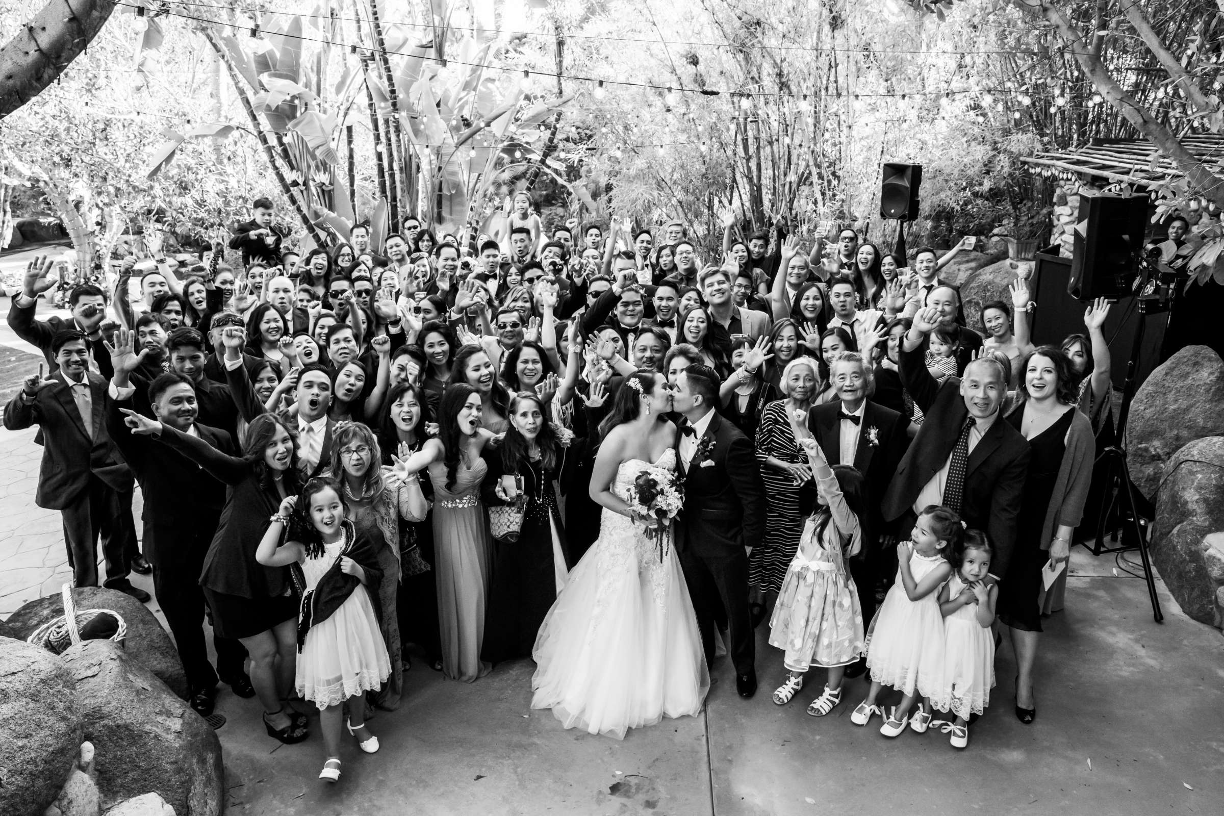 Botanica the Venue Wedding, Kristen and Ian Wedding Photo #376468 by True Photography