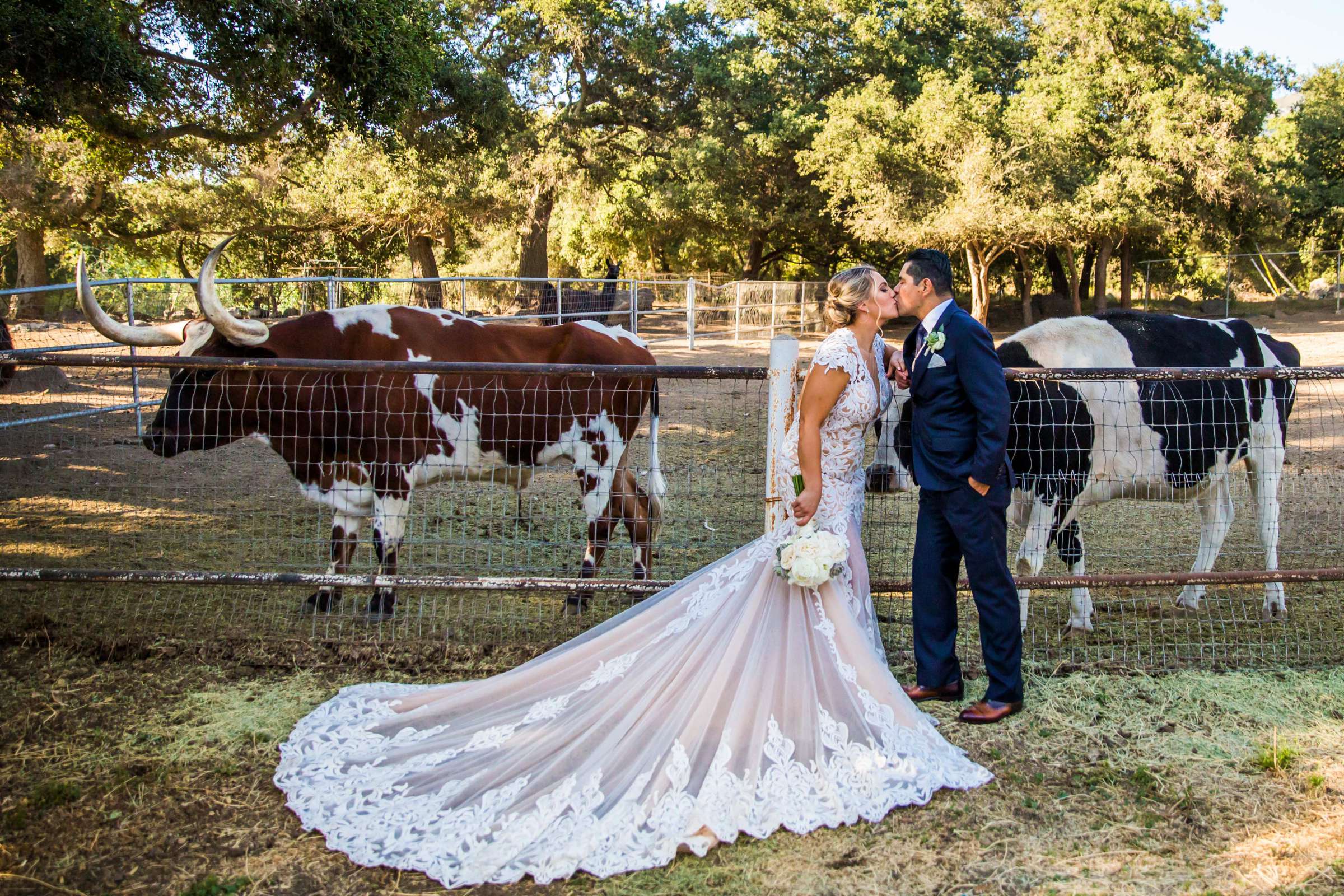 Condors Nest Ranch Wedding, Jessica and Juan Carlos Wedding Photo #114 by True Photography