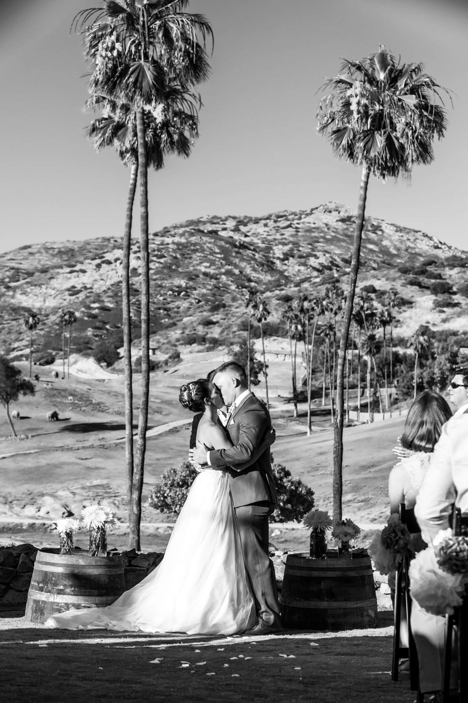 Safari Park Wedding, Danielle and Brendan Wedding Photo #72 by True Photography