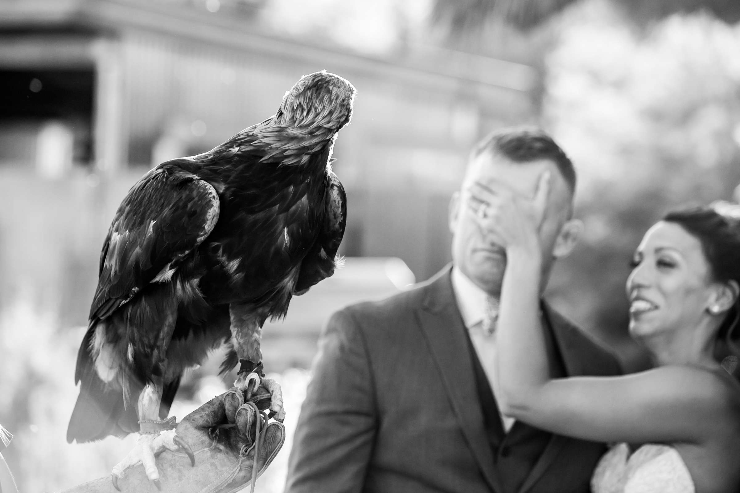 Safari Park Wedding, Danielle and Brendan Wedding Photo #81 by True Photography