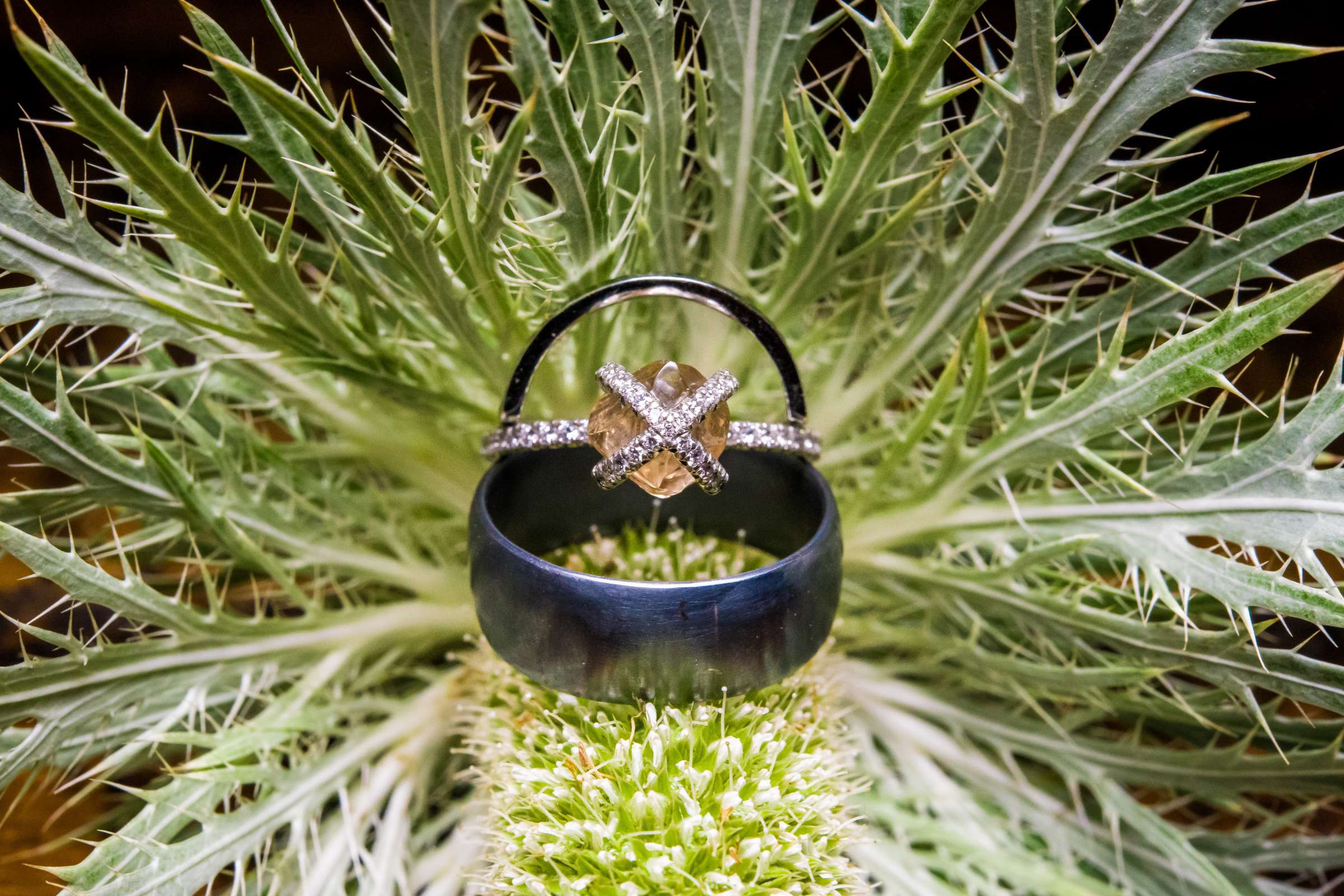 Rings at Wedding, Jessica and Richard Wedding Photo #391490 by True Photography