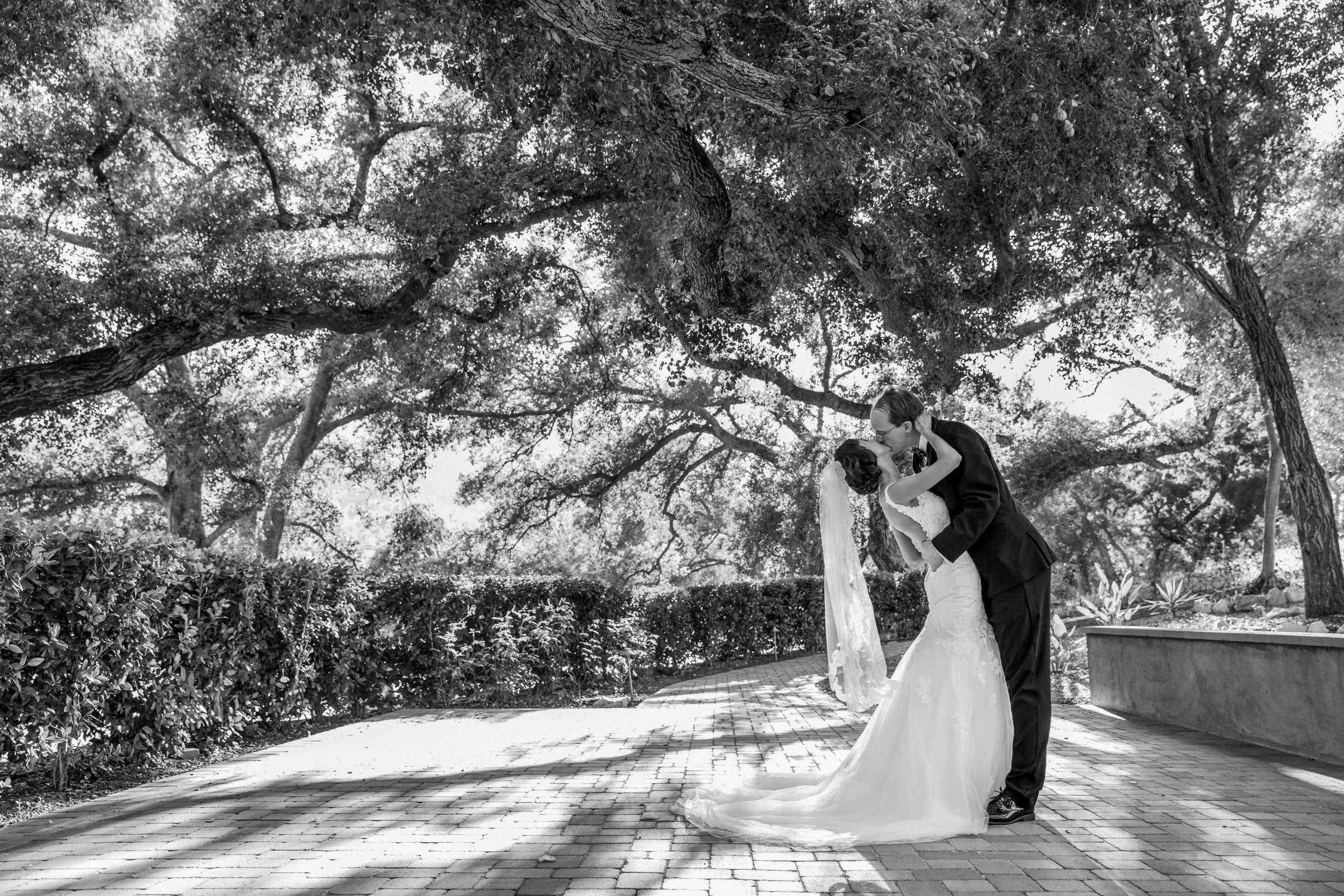 Mt Woodson Castle Wedding coordinated by Personal Touch Dining, Ashley and Steven Wedding Photo #21 by True Photography