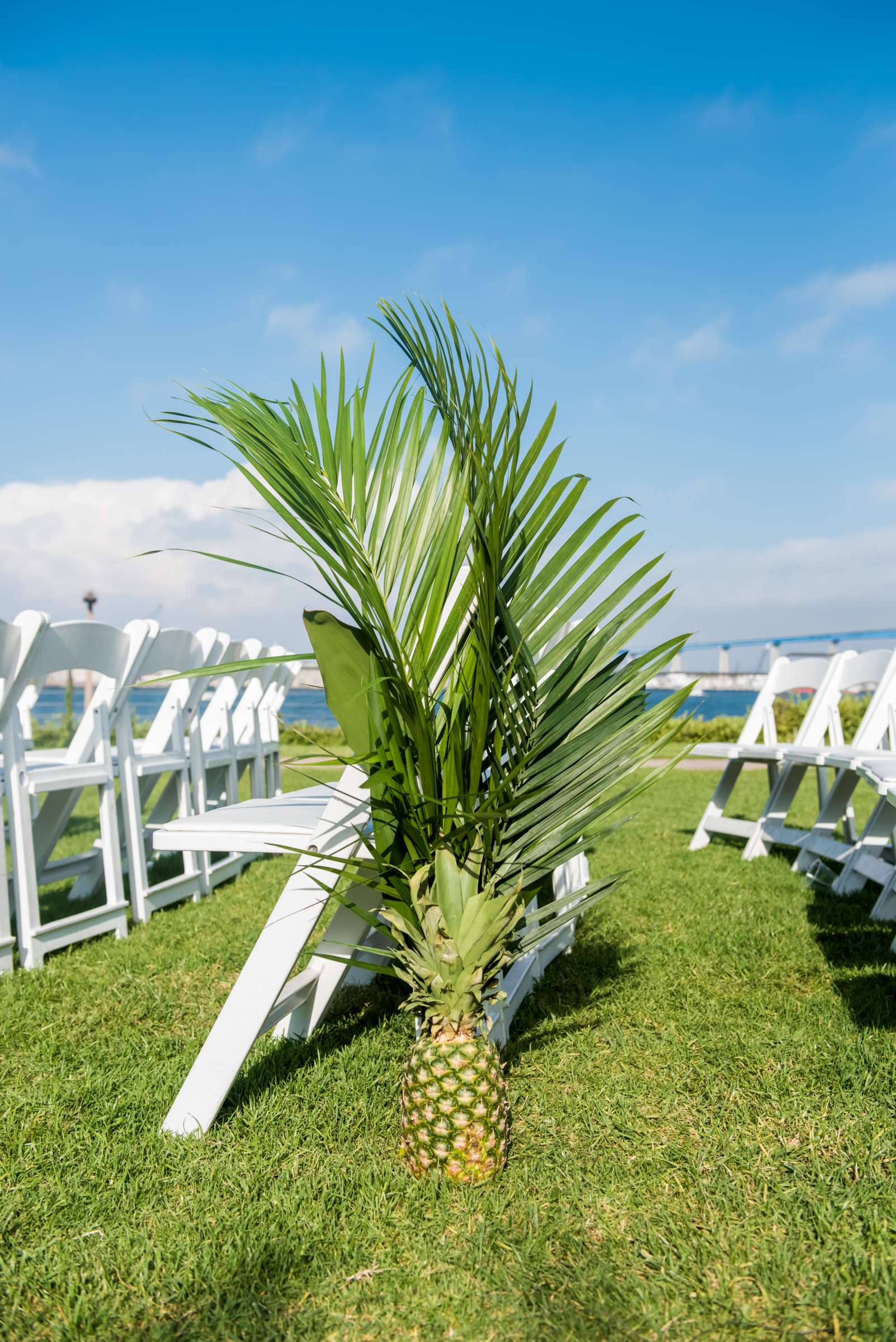 Coronado Island Marriott Resort & Spa Wedding coordinated by Bluestocking Weddings & Events, Ashleigh and Christopher Wedding Photo #175 by True Photography