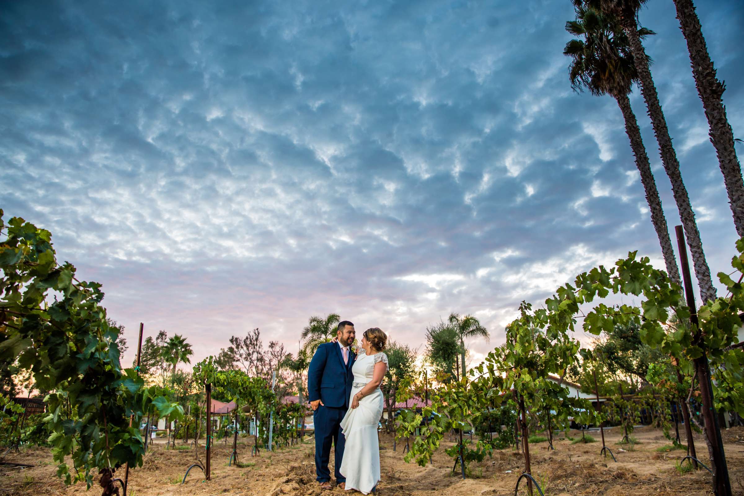 Bernardo Winery Wedding, Michelle and Ryan Wedding Photo #411047 by True Photography