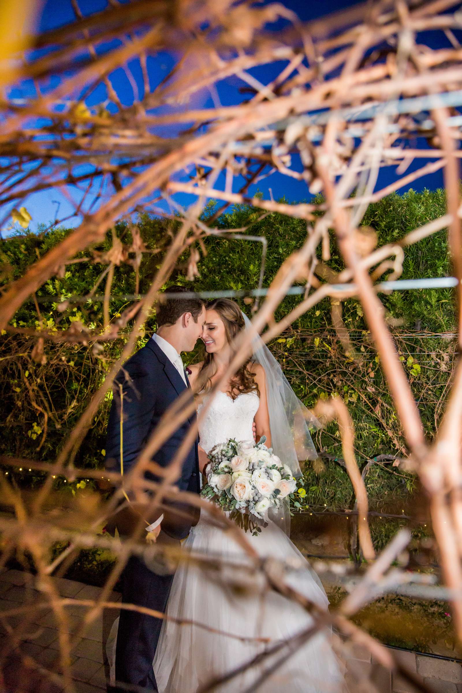 Villa de Amore Wedding, Alexandra and Kyle Wedding Photo #3 by True Photography
