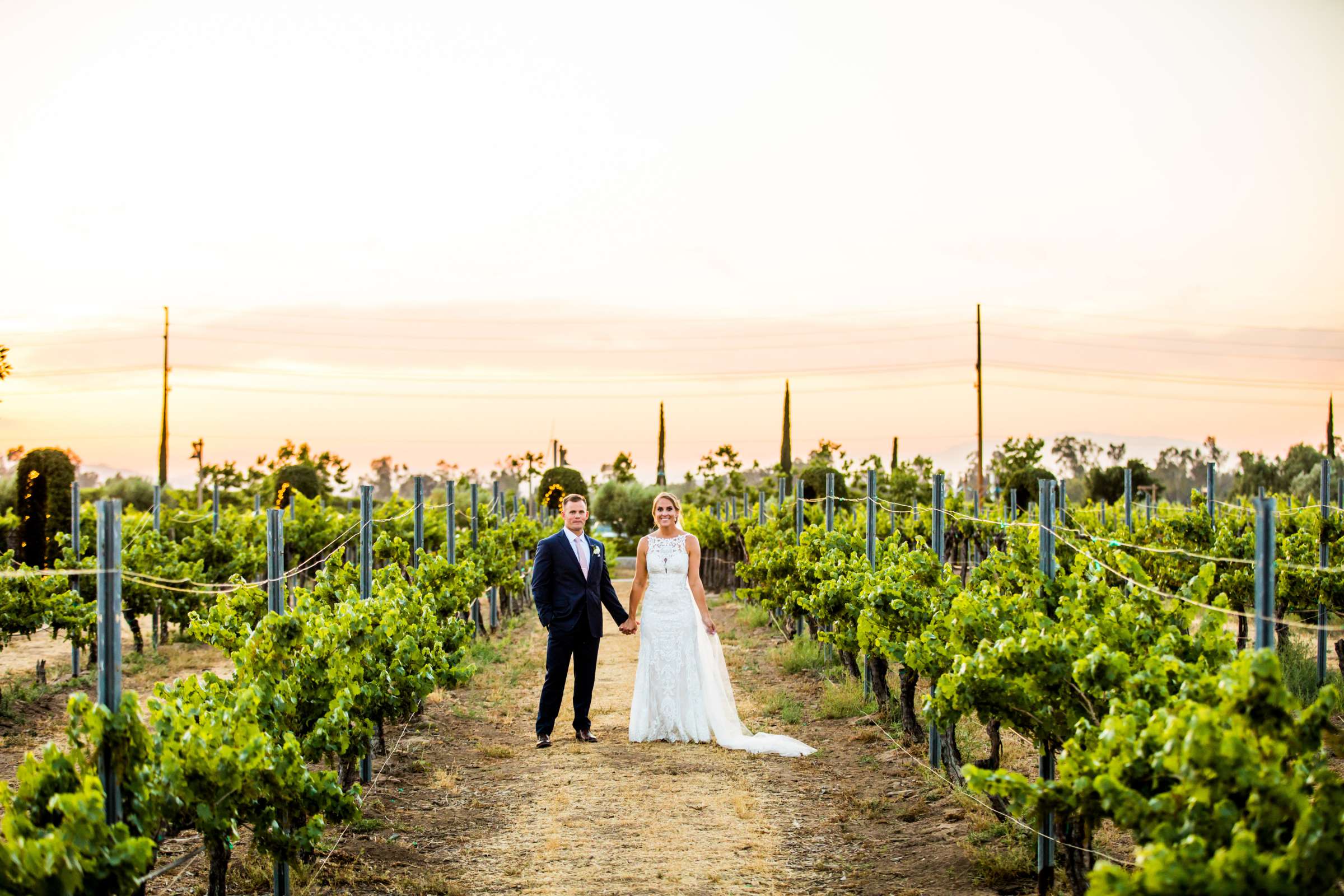 Ponte Estate Winery Wedding, Kelsey and Andrew Wedding Photo #111 by True Photography