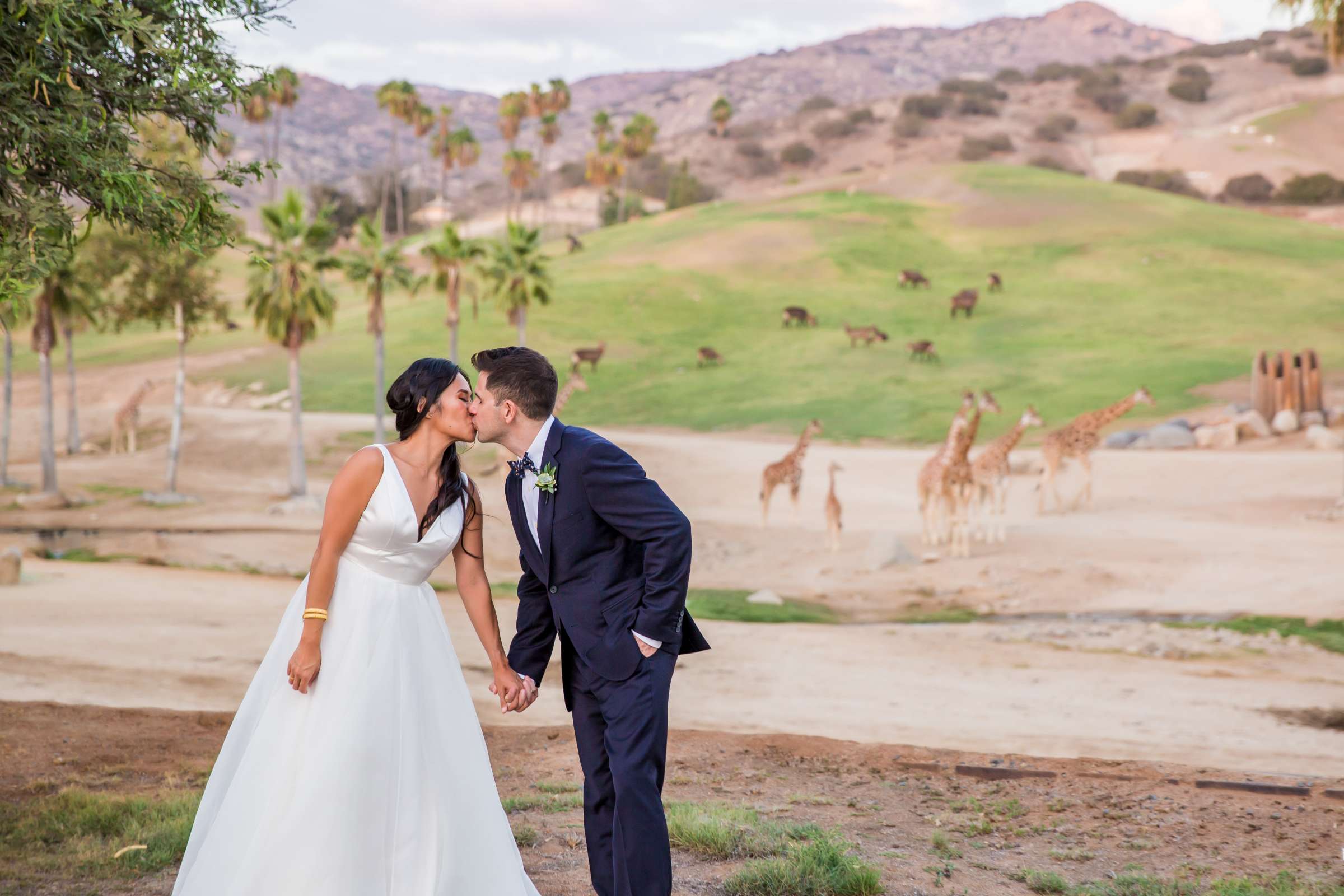 Safari Park Wedding, Evangelina and Ross Wedding Photo #11 by True Photography