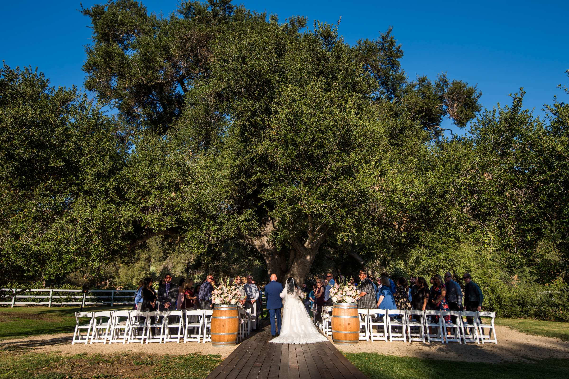 Circle Oak Ranch Weddings Wedding, Kelly and Will Wedding Photo #57 by True Photography