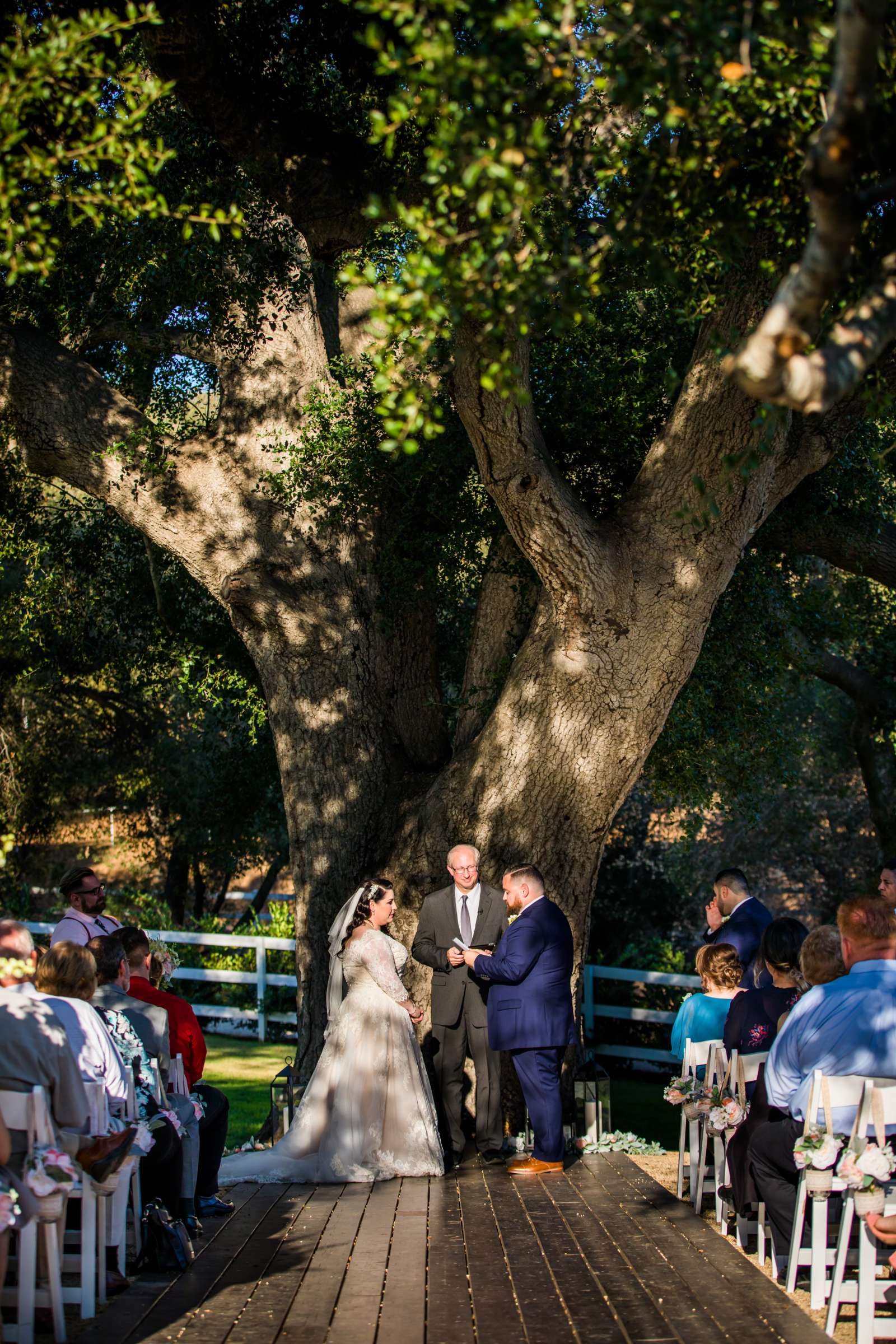 Circle Oak Ranch Weddings Wedding, Kelly and Will Wedding Photo #67 by True Photography