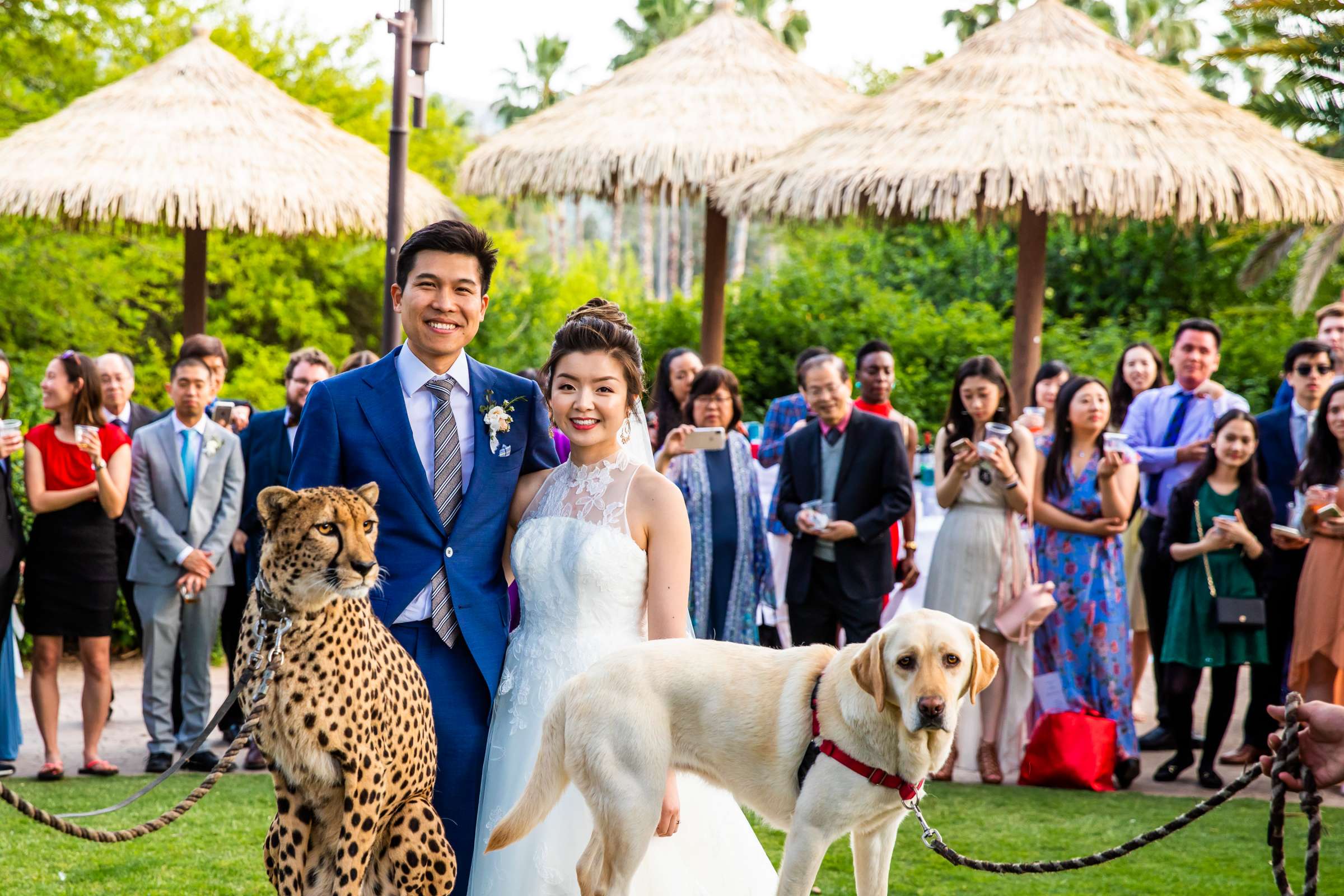 Safari Park Wedding coordinated by Holly Kalkin Weddings, Min and Edward Wedding Photo #539279 by True Photography