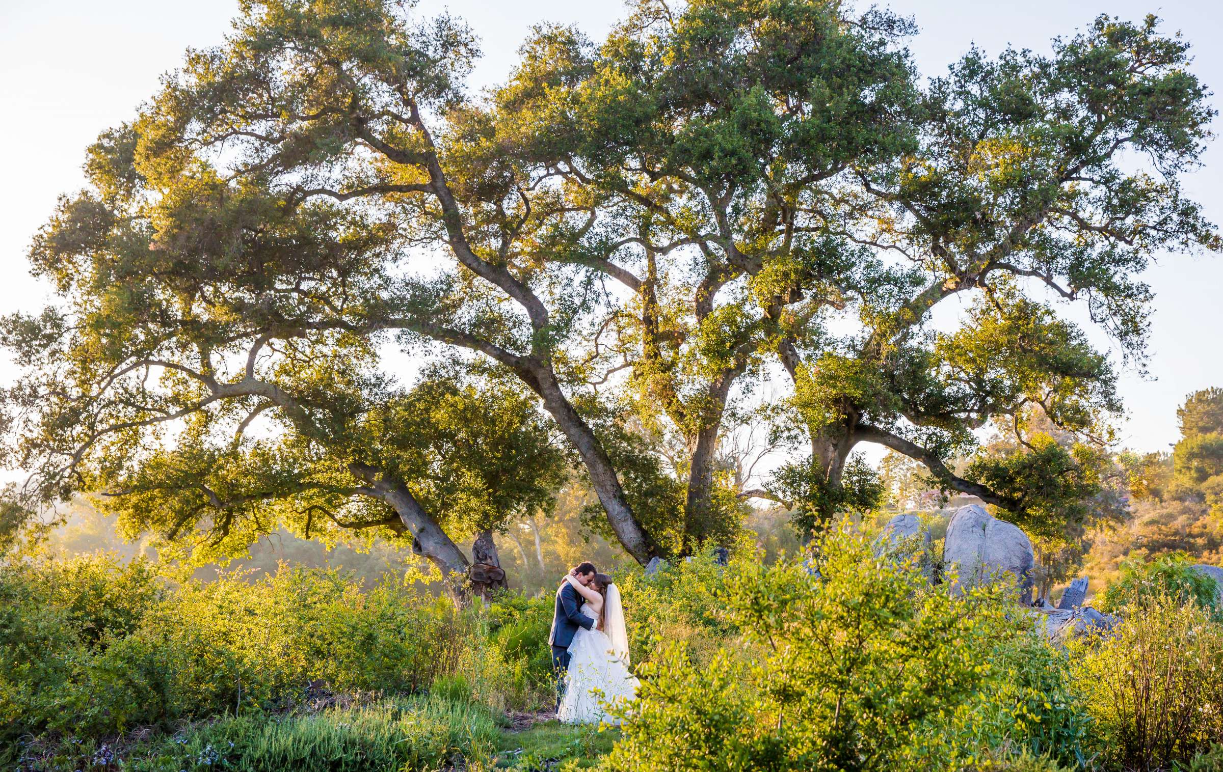 In a Field at Mt Woodson Castle Wedding coordinated by Personal Touch Dining, Nicole and Noah Wedding Photo #8 by True Photography