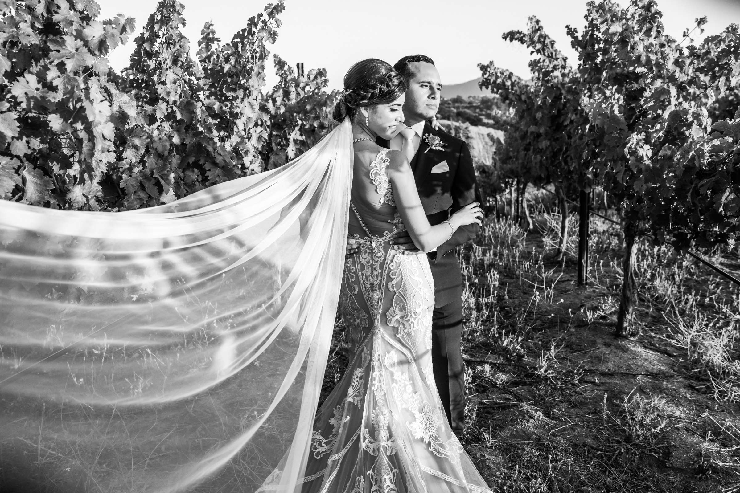 Callaway Vineyards & Winery Wedding coordinated by Michelle Garibay Events, Chelsea and Luis carlos Wedding Photo #9 by True Photography