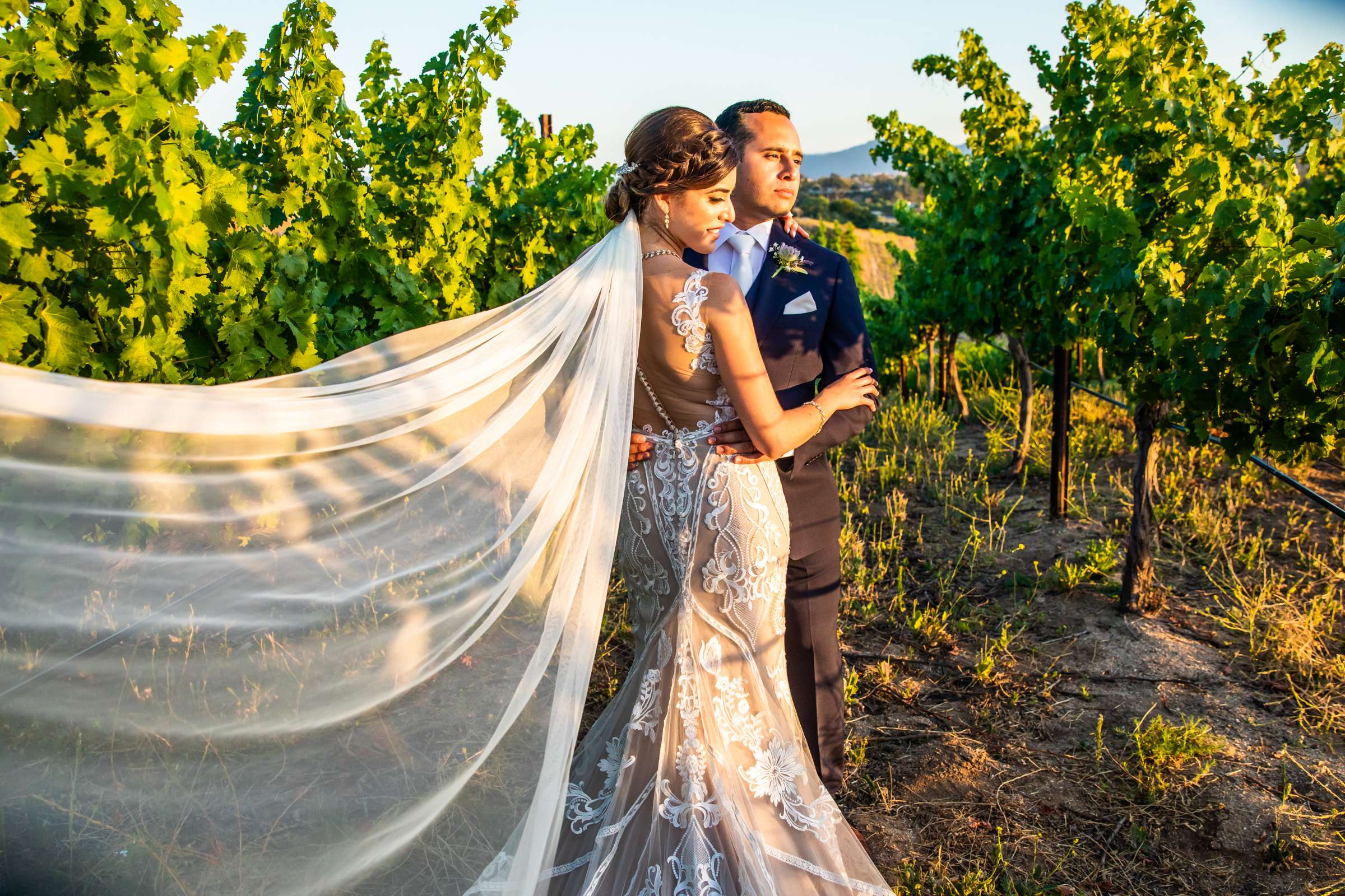 Callaway Vineyards & Winery Wedding coordinated by Michelle Garibay Events, Chelsea and Luis carlos Wedding Photo #8 by True Photography