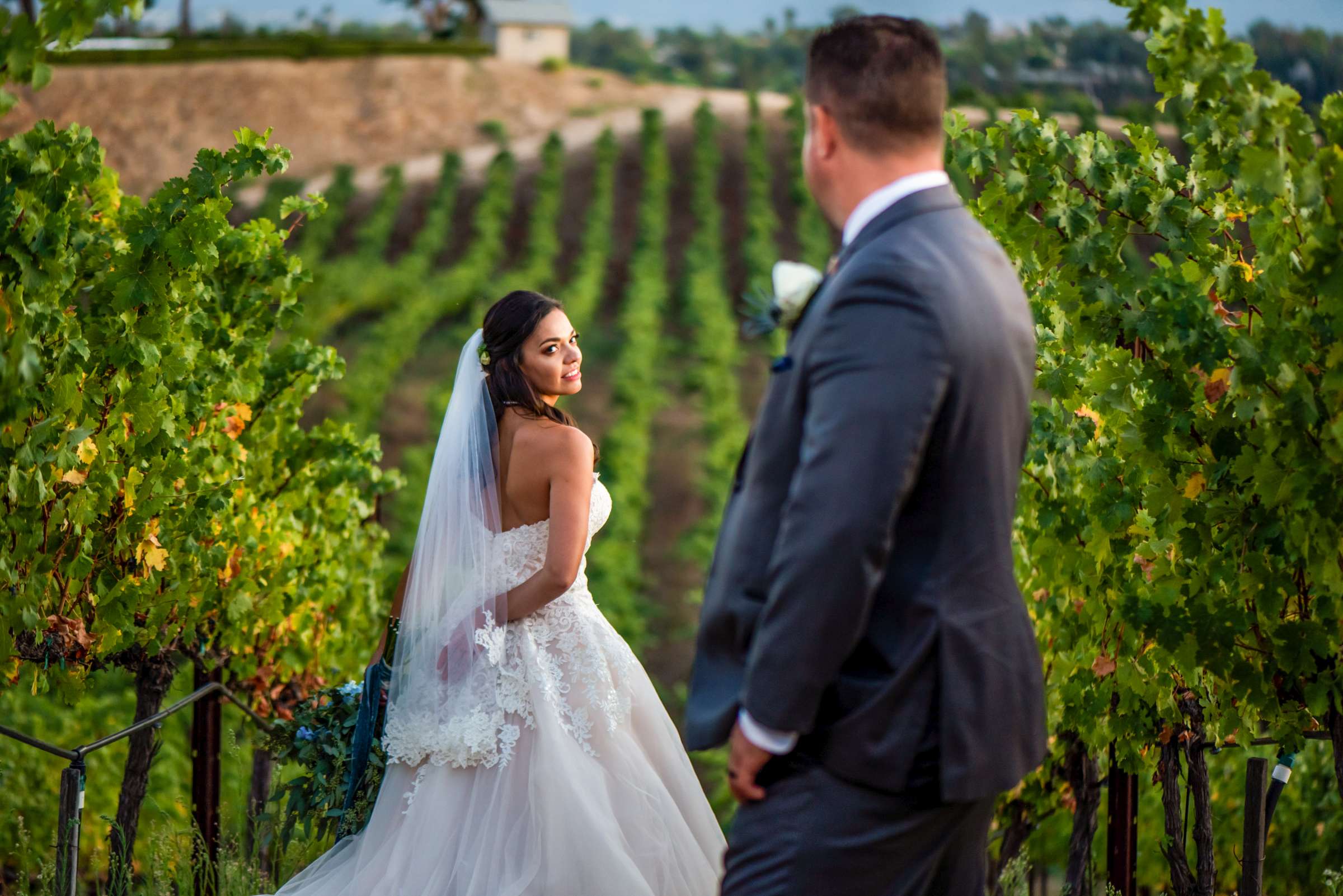 Callaway Vineyards & Winery Wedding, Erica and Robert Wedding Photo #3 by True Photography