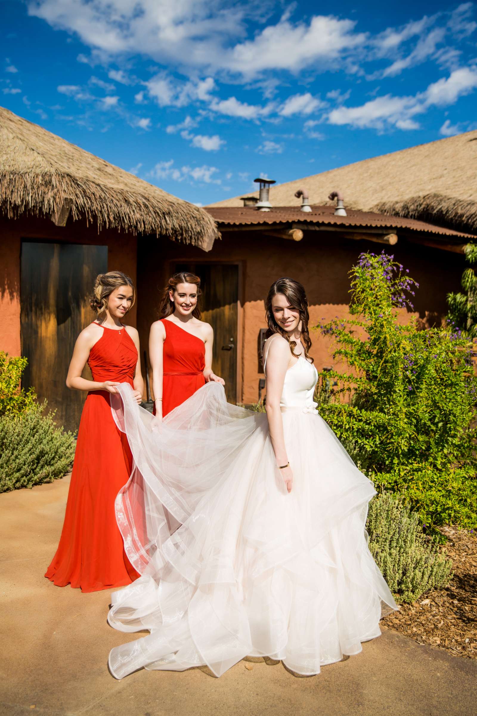 Safari Park Wedding coordinated by Always Flawless Productions, Lynx and Adam Wedding Photo #23 by True Photography