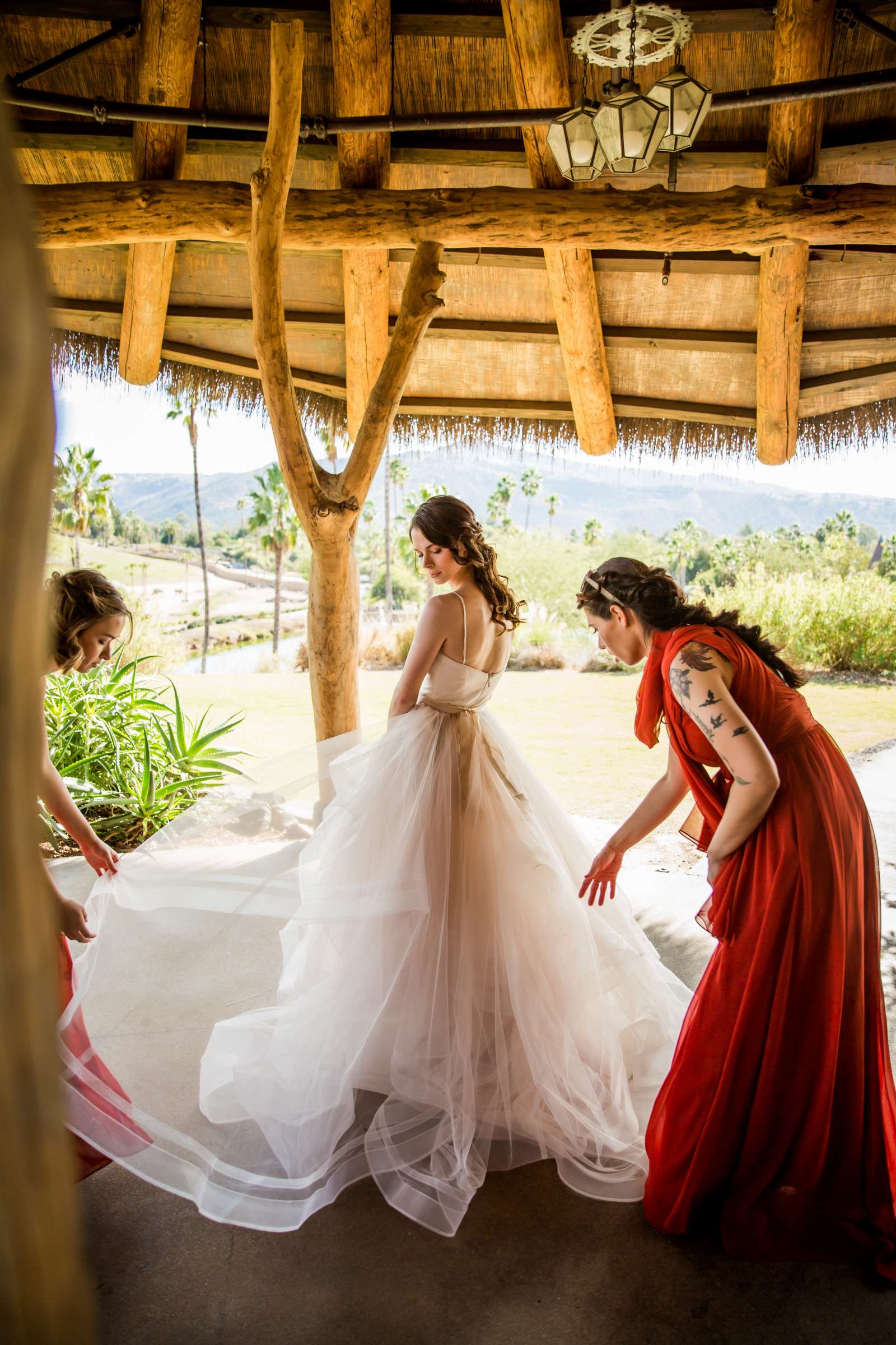 Safari Park Wedding coordinated by Always Flawless Productions, Lynx and Adam Wedding Photo #30 by True Photography