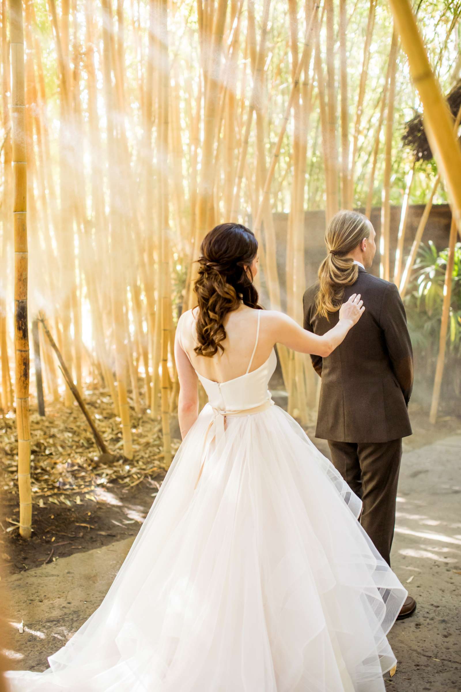 Safari Park Wedding coordinated by Always Flawless Productions, Lynx and Adam Wedding Photo #36 by True Photography